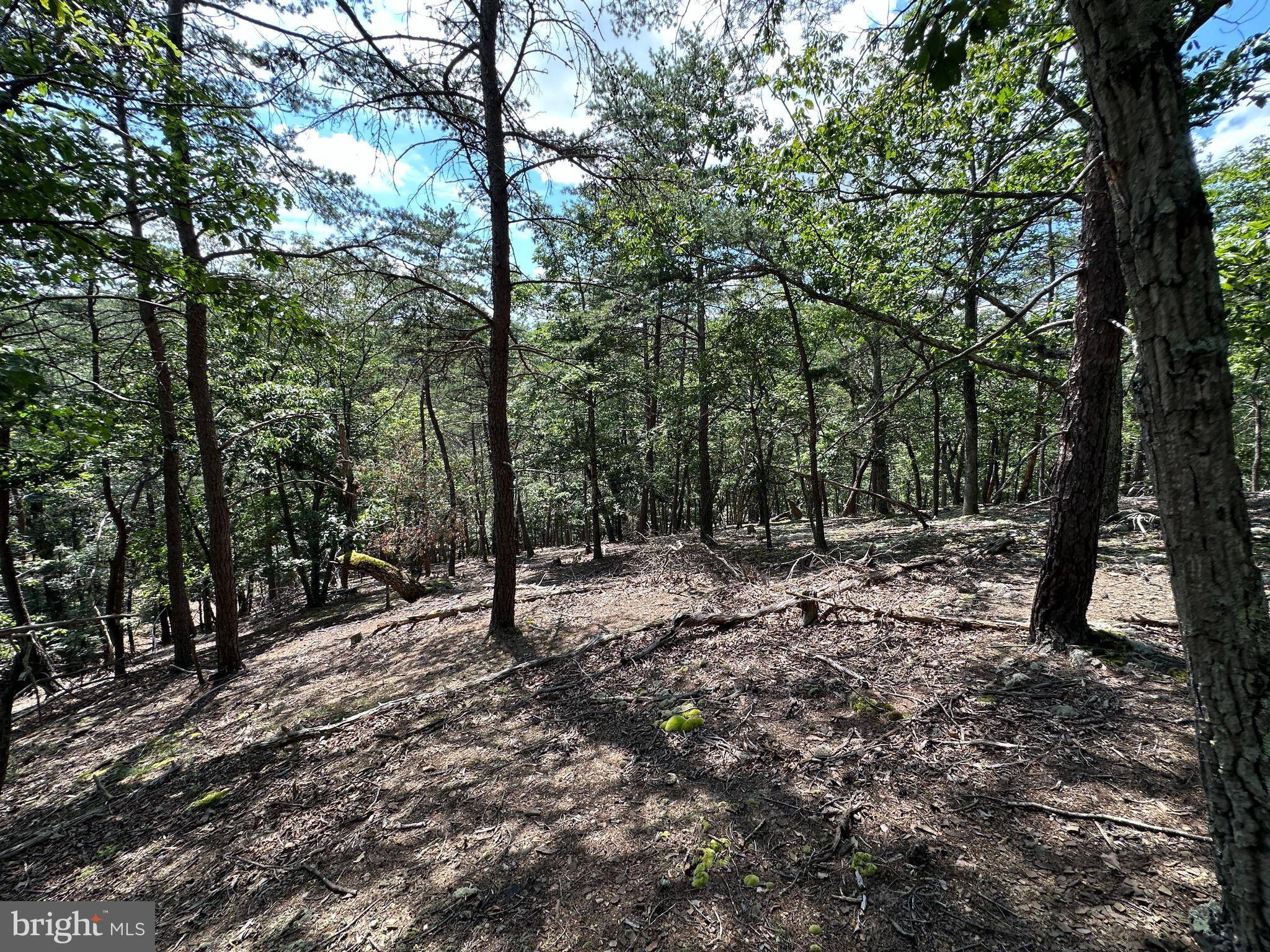 HAMILTON ESTATES - Land