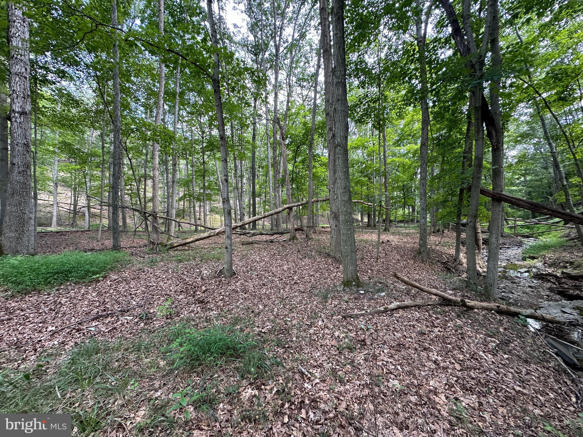 HAMILTON ESTATES - Land