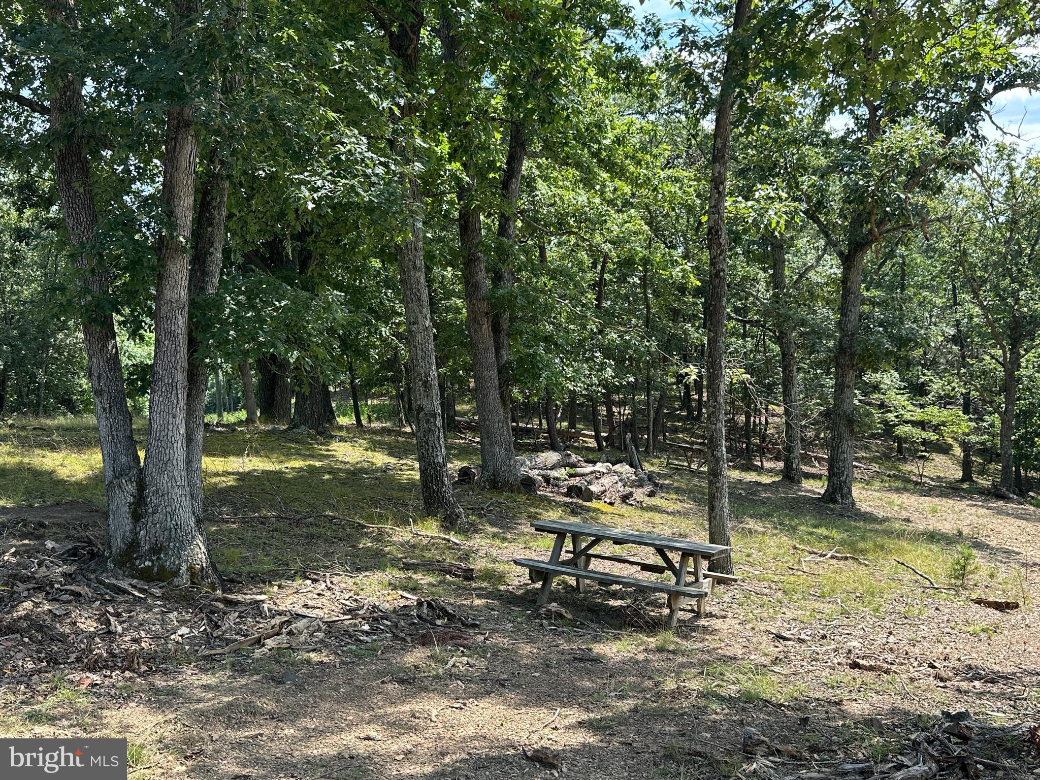 HAMILTON ESTATES - Land