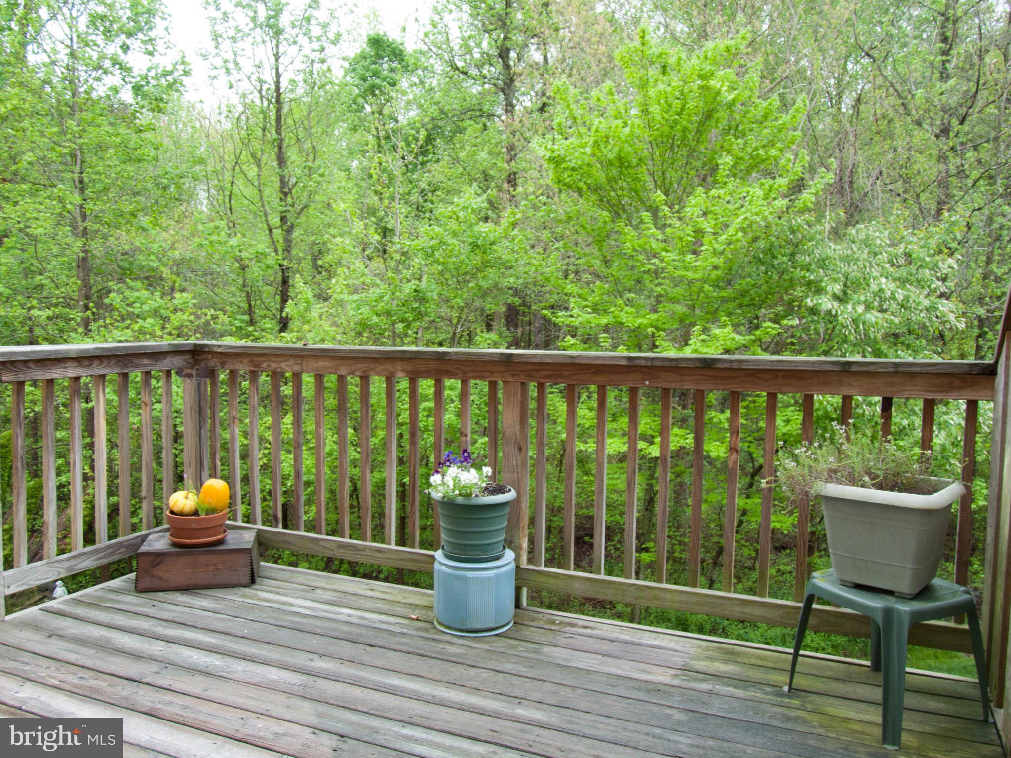 PINEY ORCHARD - Residential Lease