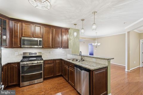 24637 WOOLLY MAMMOTH TERRACE 205 ALDIE VA 20105