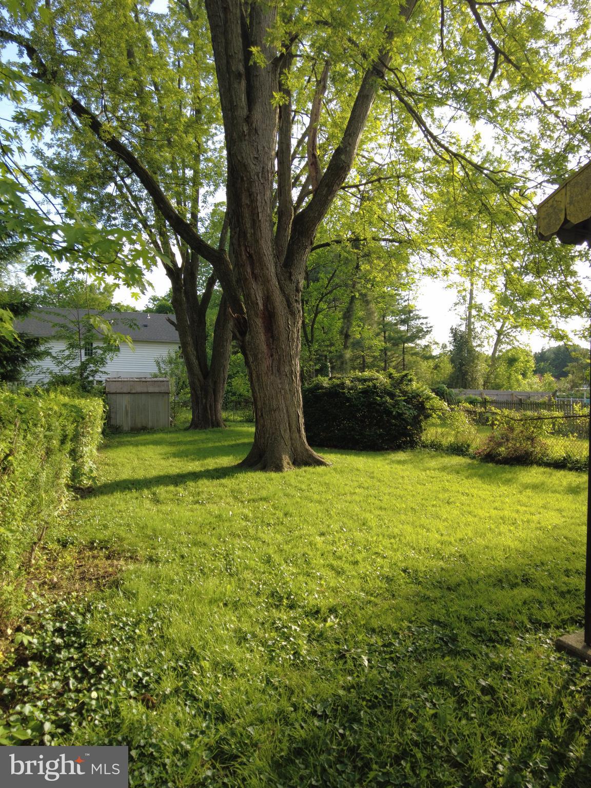 WYNDMOOR - Residential Income