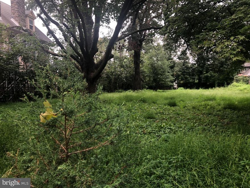 **** 50 x 175 Lot ***** This lot is 8750 sqft within one the quietest sections of Wynnefield.  This is a great opportunity to possibly build/own in a neighborhood where you experience suburbs living in the city. Just minutes from City ave, center city, shopping, major universities, and transportation.