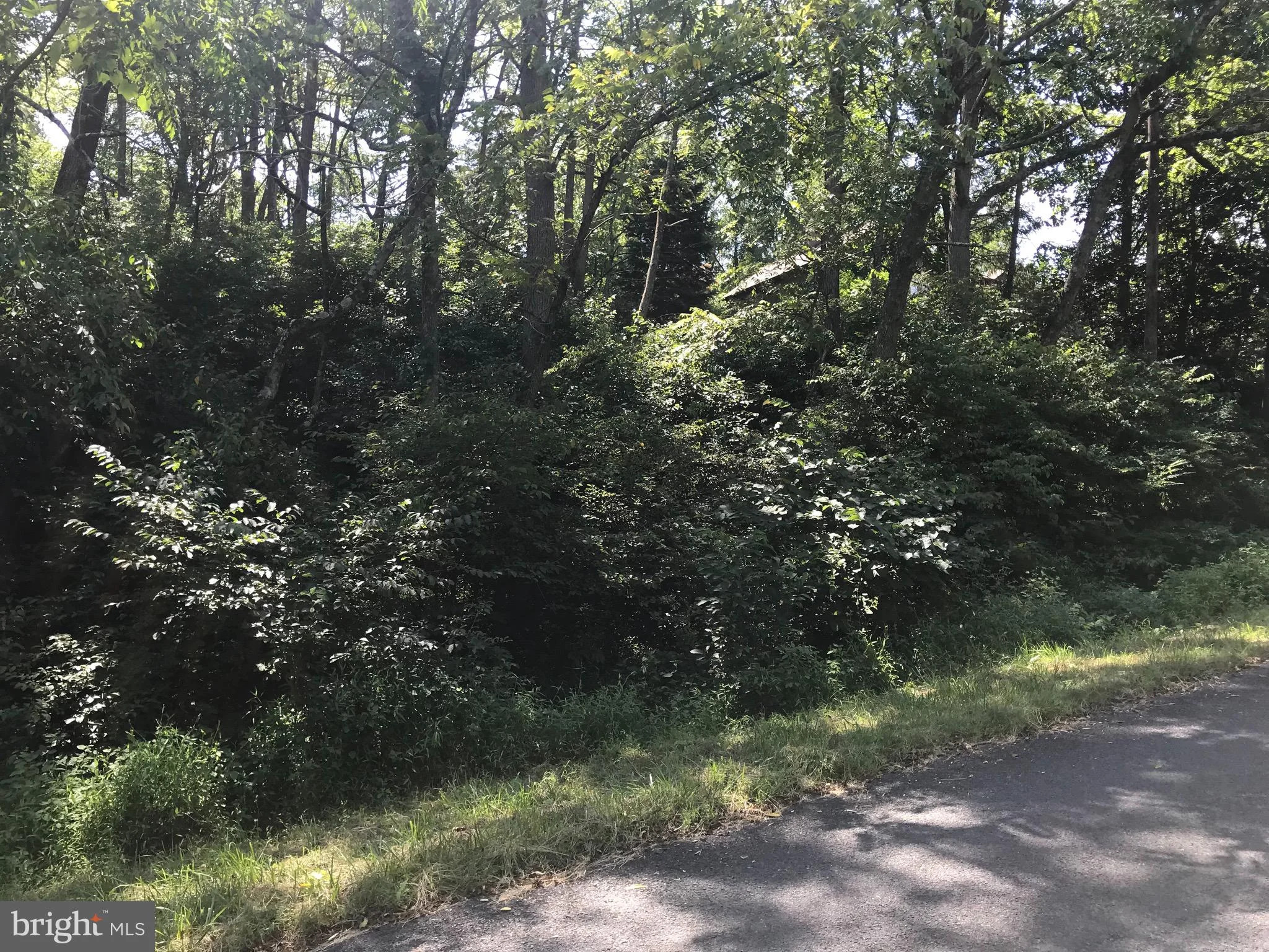 1244 Buck Drive, Auburn, PA 17922