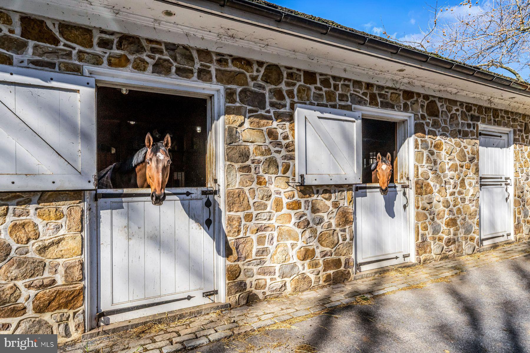 RADNOR HUNT - Residential