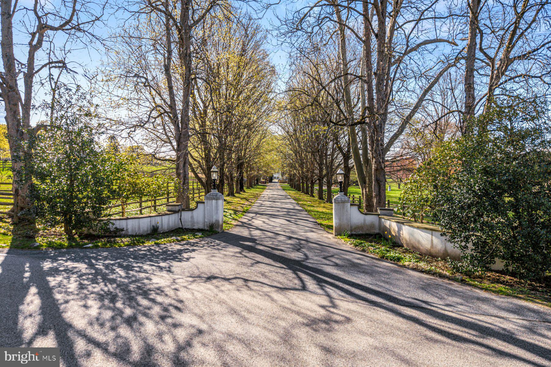 RADNOR HUNT - Residential