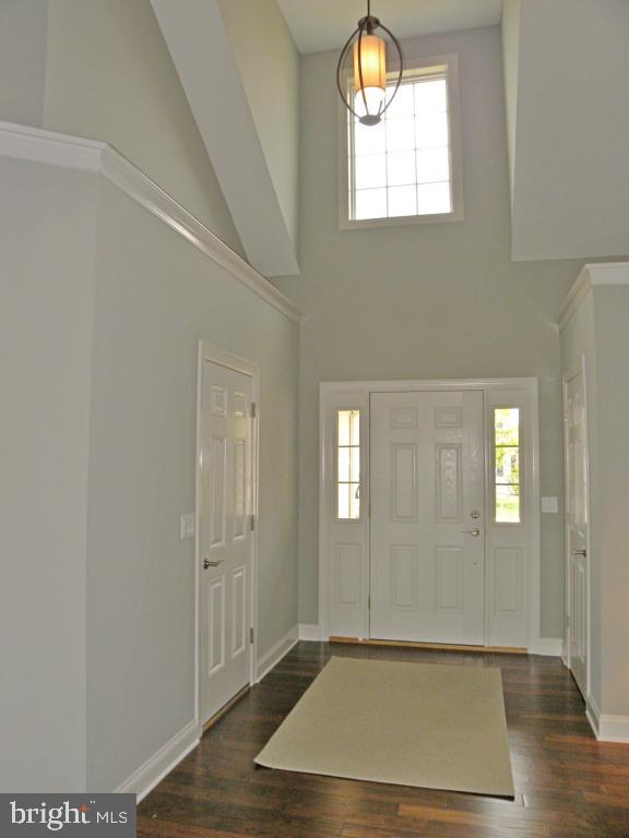 SUMMIT POINTE AT ELM TREE - Residential