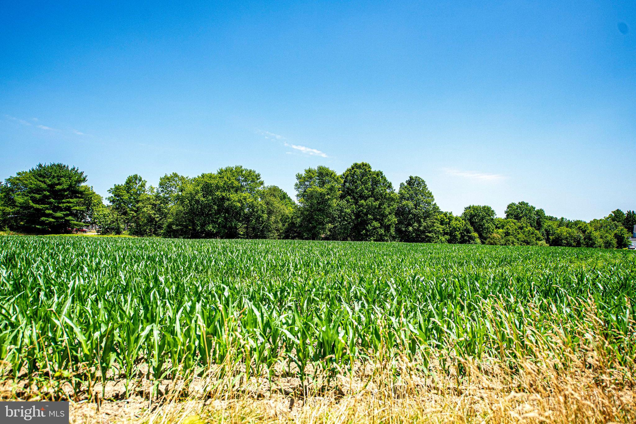 CHAPEL MANOR - Residential
