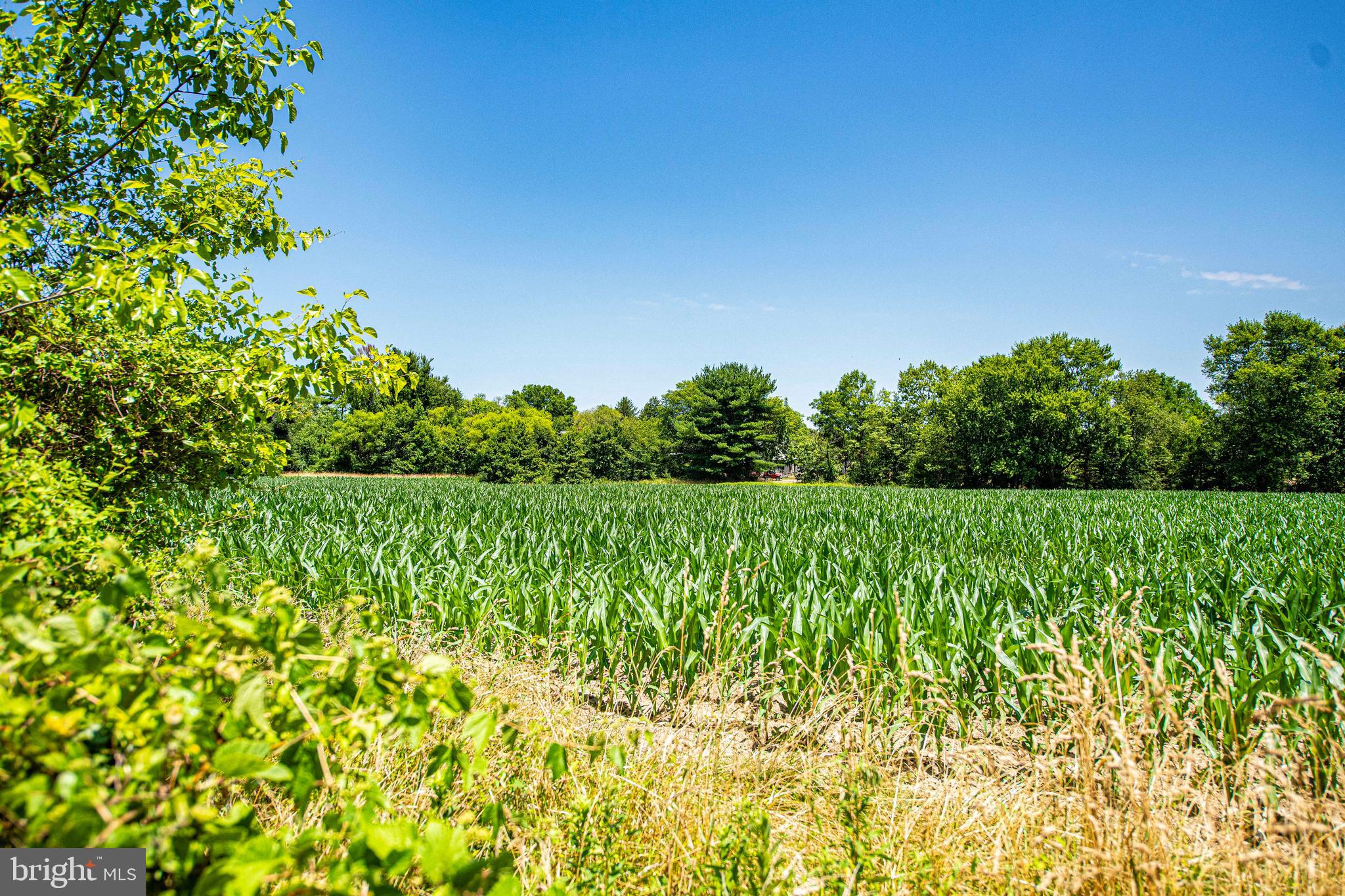 CHAPEL MANOR - Residential