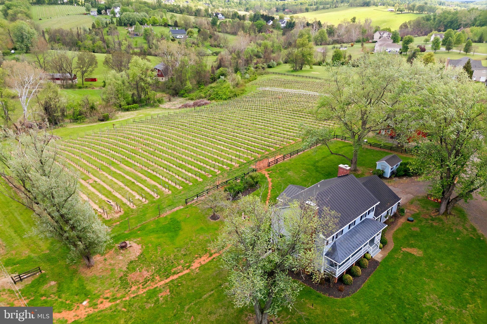 WATERFORD - Farm