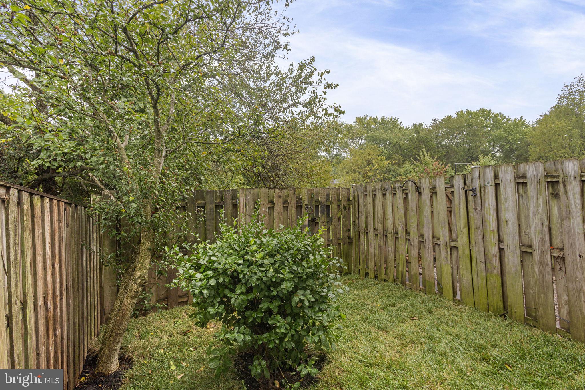 BRIGHTON COMMONS - Residential