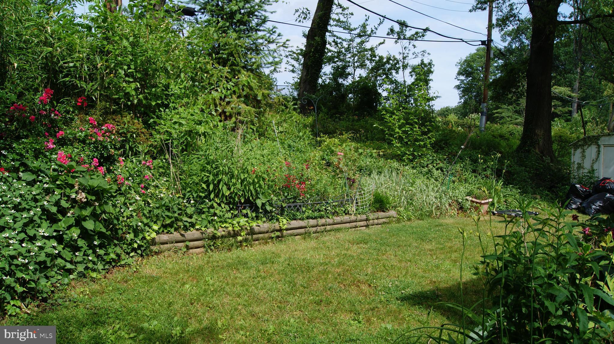 WYNNEWOOD - Residential