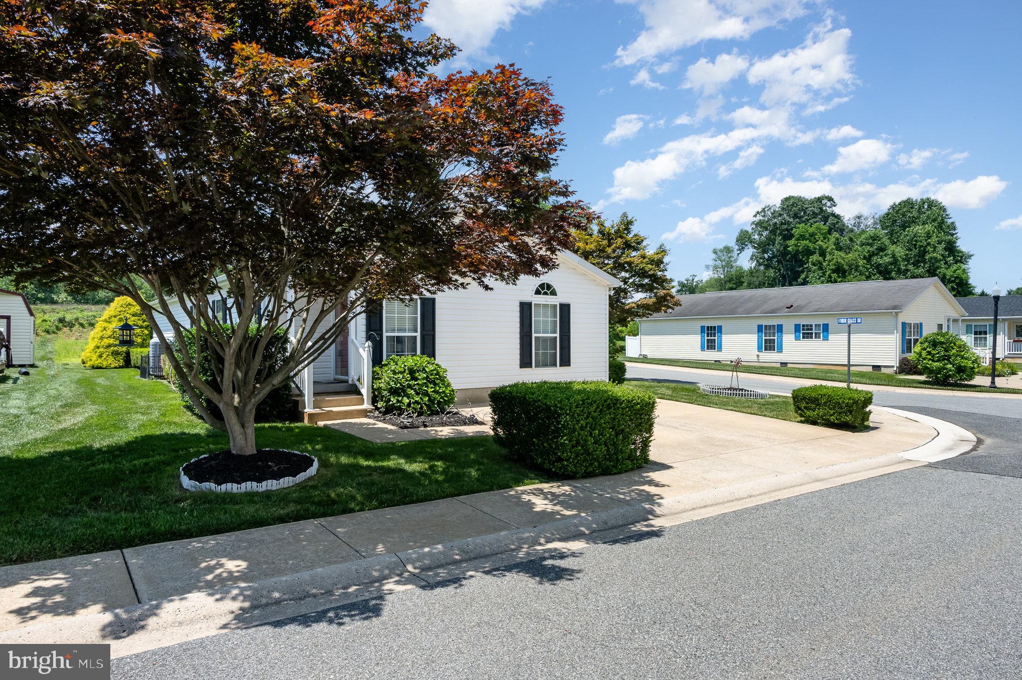 108 CURRY AVENUE