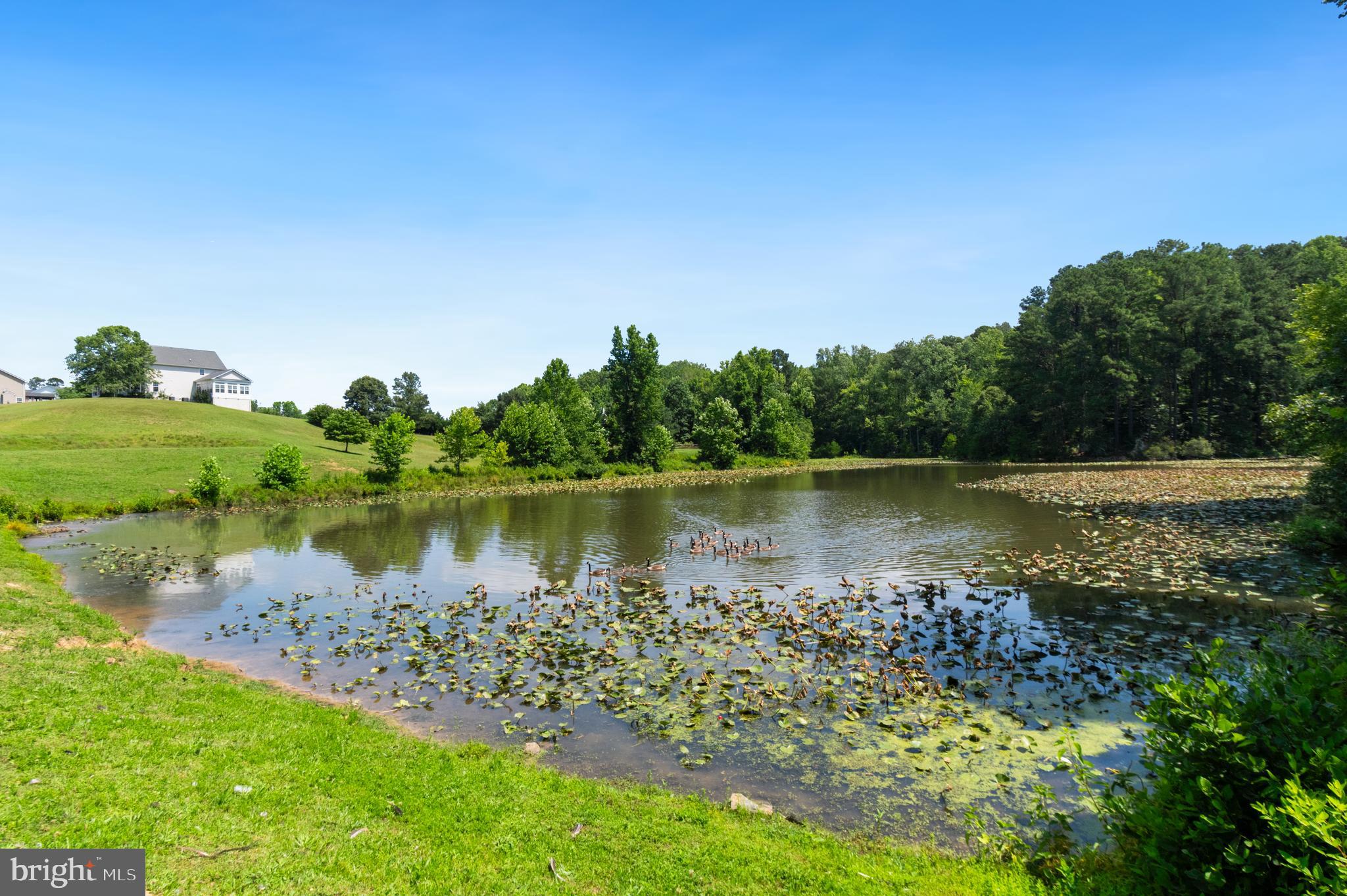 FARMS AT HUNTING CREEK - Residential