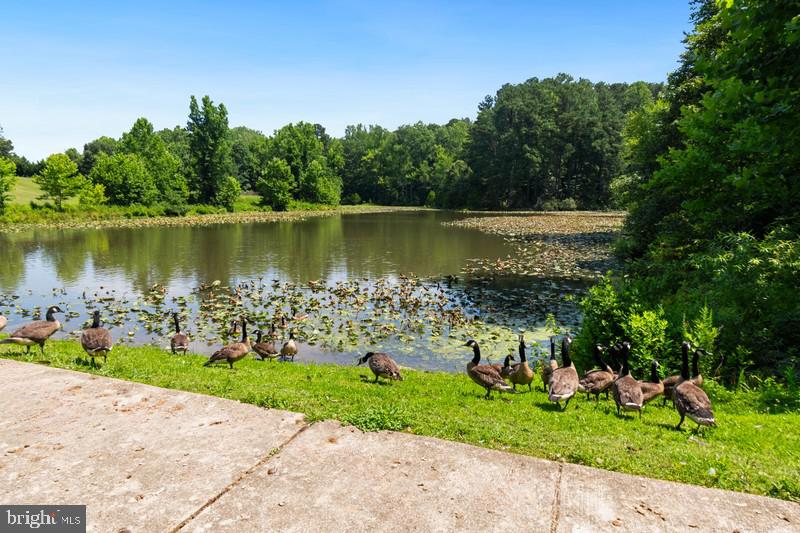 FARMS AT HUNTING CREEK - Residential