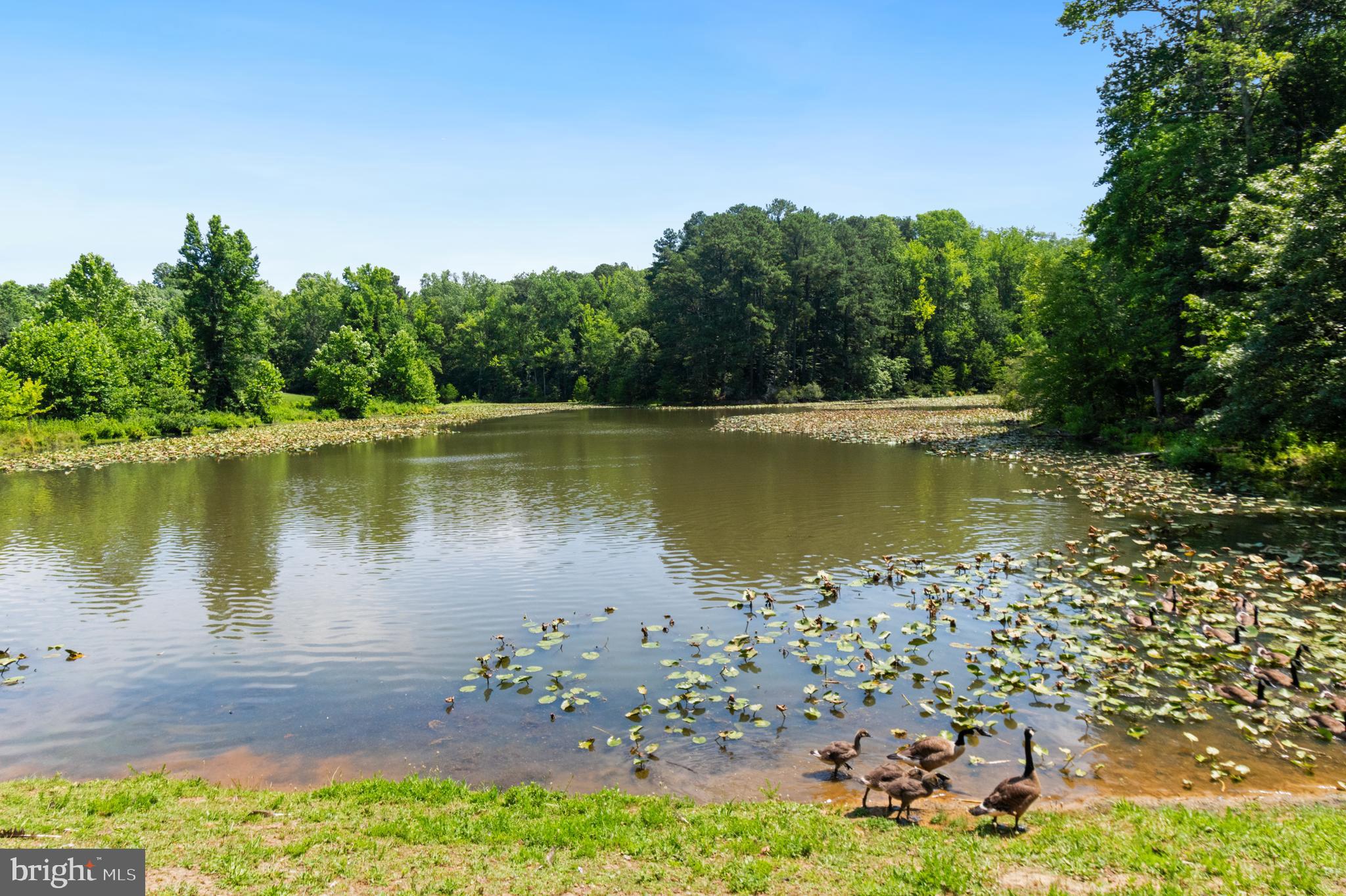 FARMS AT HUNTING CREEK - Residential