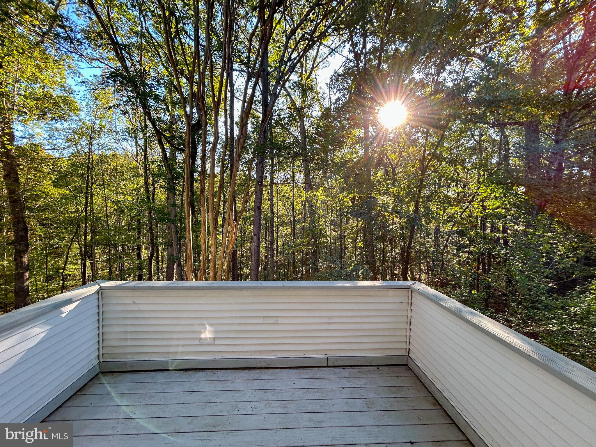 15 CRESTED IRIS COURT