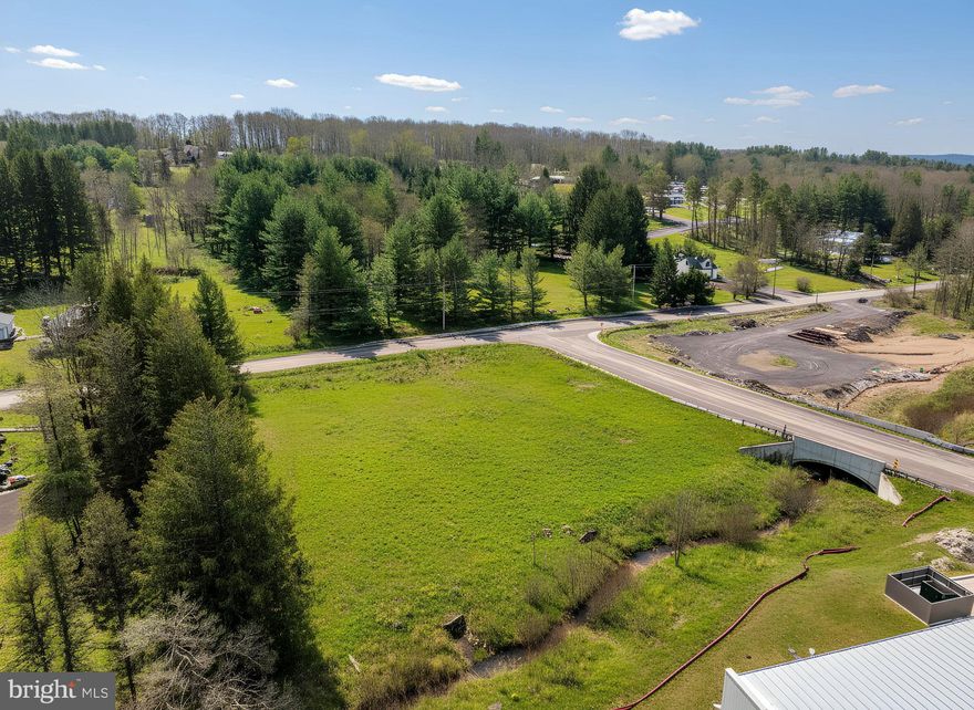 1.15 acres located between Rt. 219 (Garrett Highway) and N 4th St.  Endless possibilities for commercial building. Many national business establishments surrounding this lot.  Public water and sewer connection.  Corner lot, with great visibility! Call now to find out more about this desirable land!