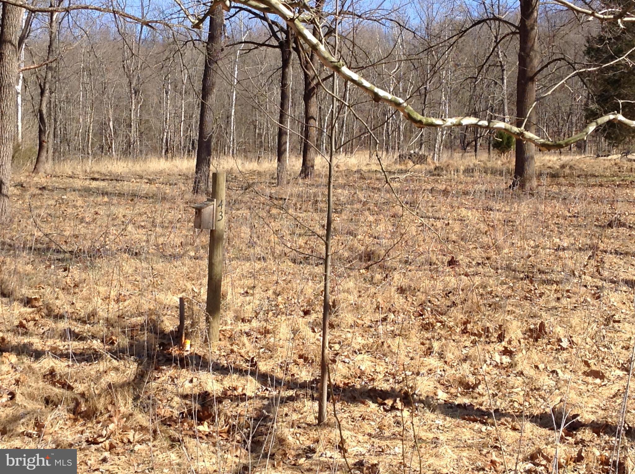 ROCK FERRY STATION - Land