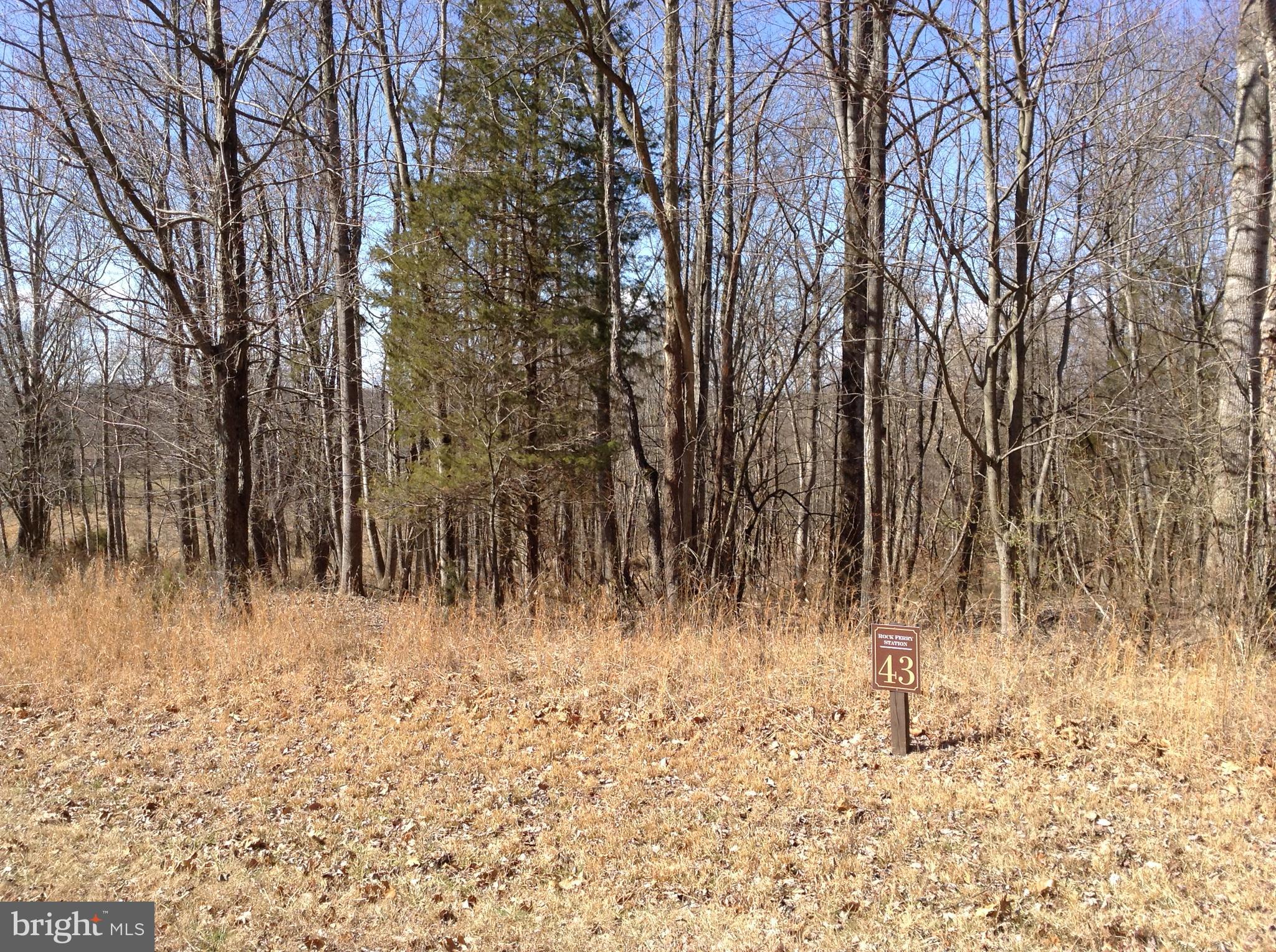 ROCK FERRY STATION - Land