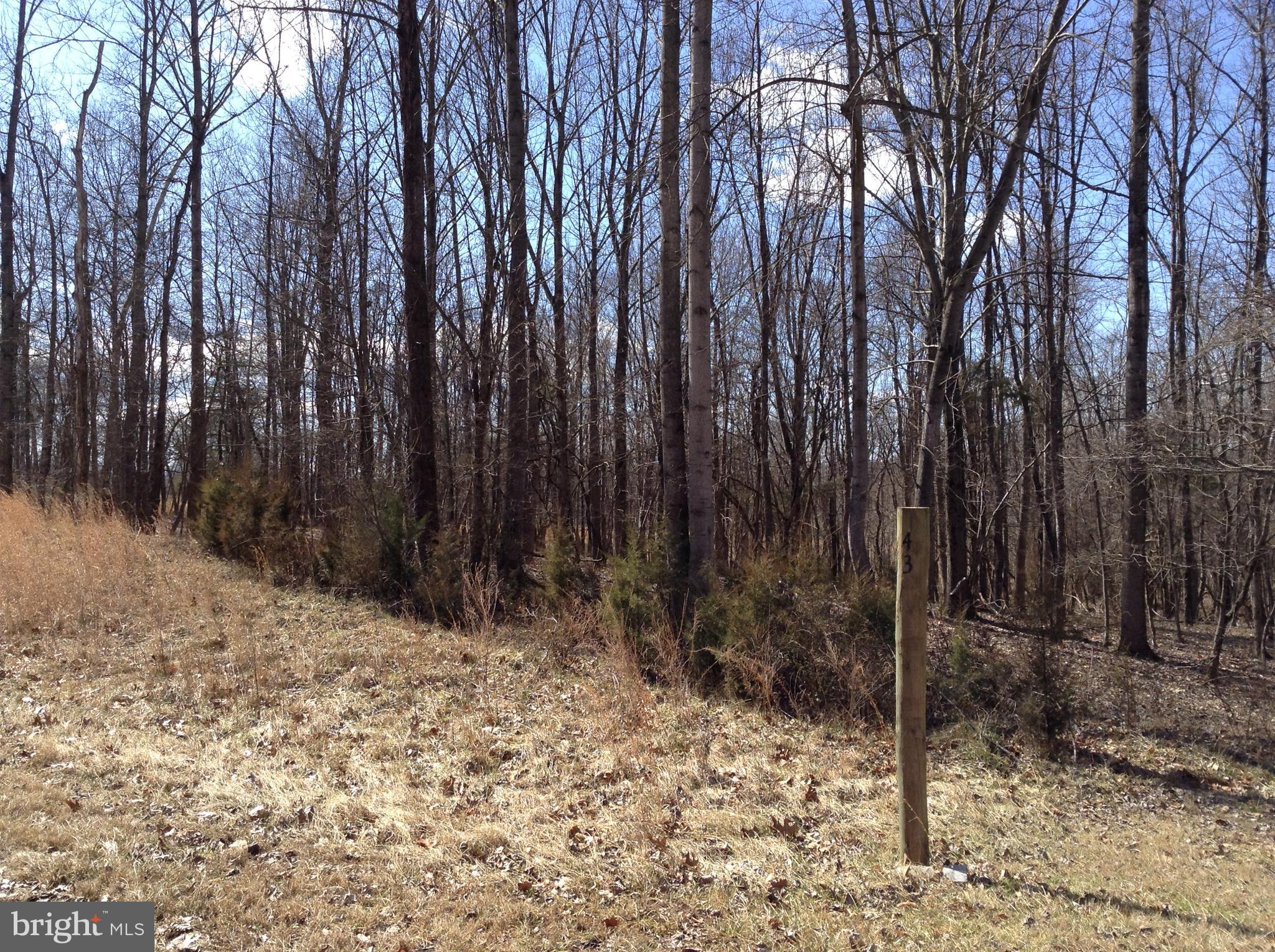 ROCK FERRY STATION - Land