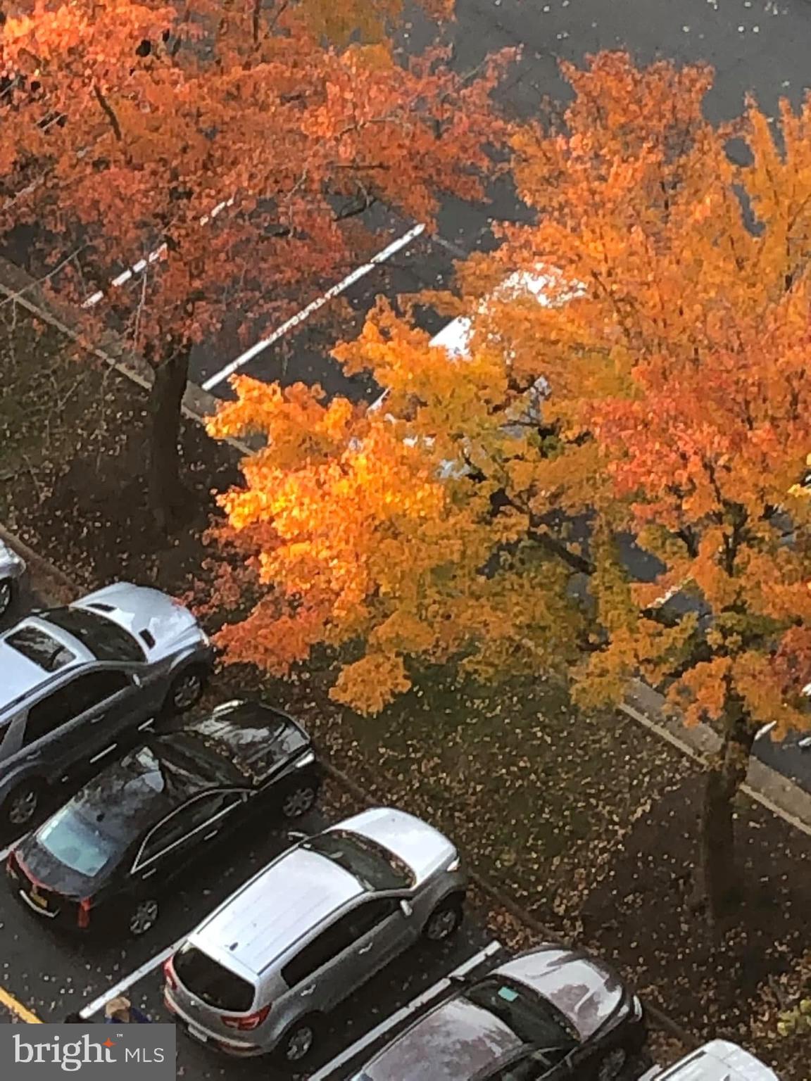 205 YOAKUM PARKWAY 1724