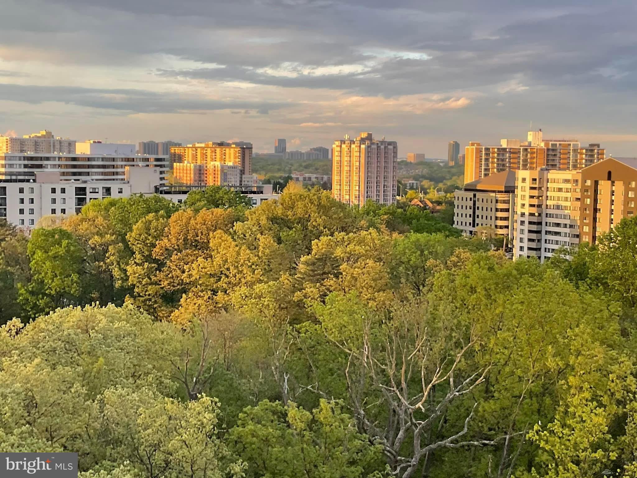 205 YOAKUM PARKWAY 1724