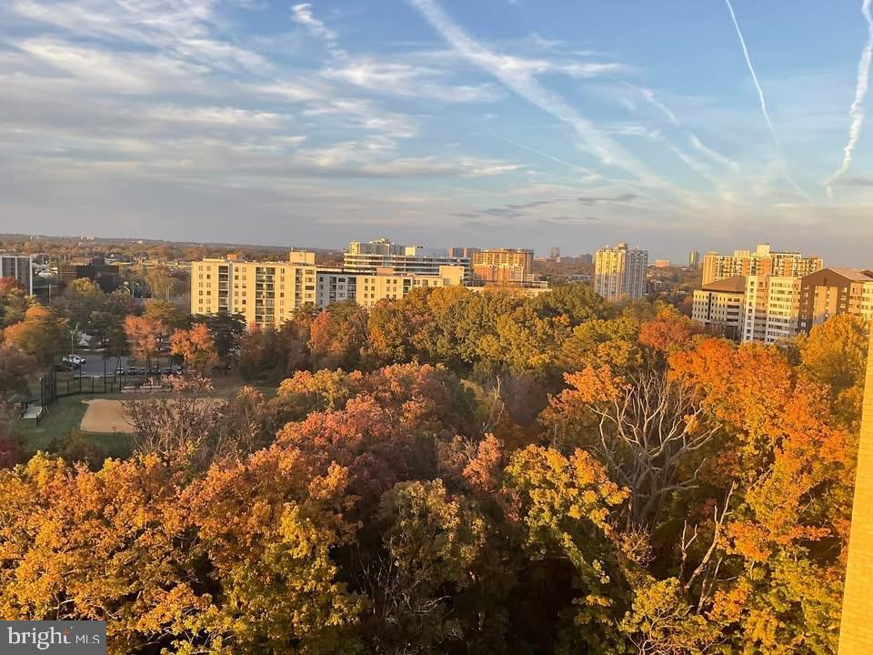 205 YOAKUM PARKWAY 1724