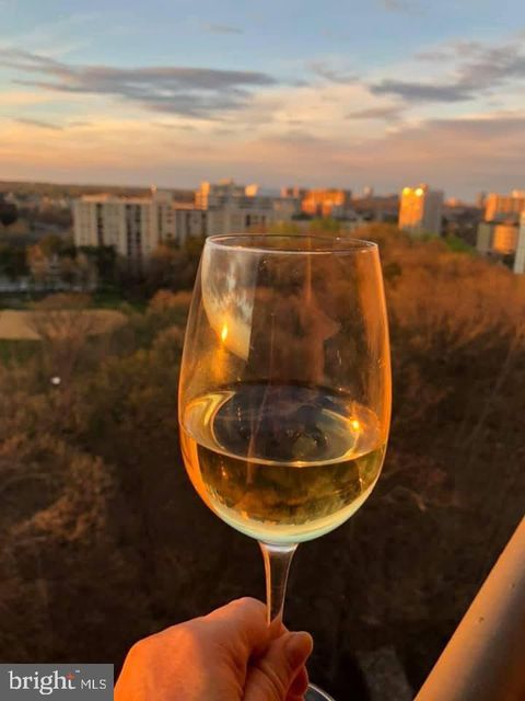 205 YOAKUM PARKWAY 1724 ALEXANDRIA VA 22304