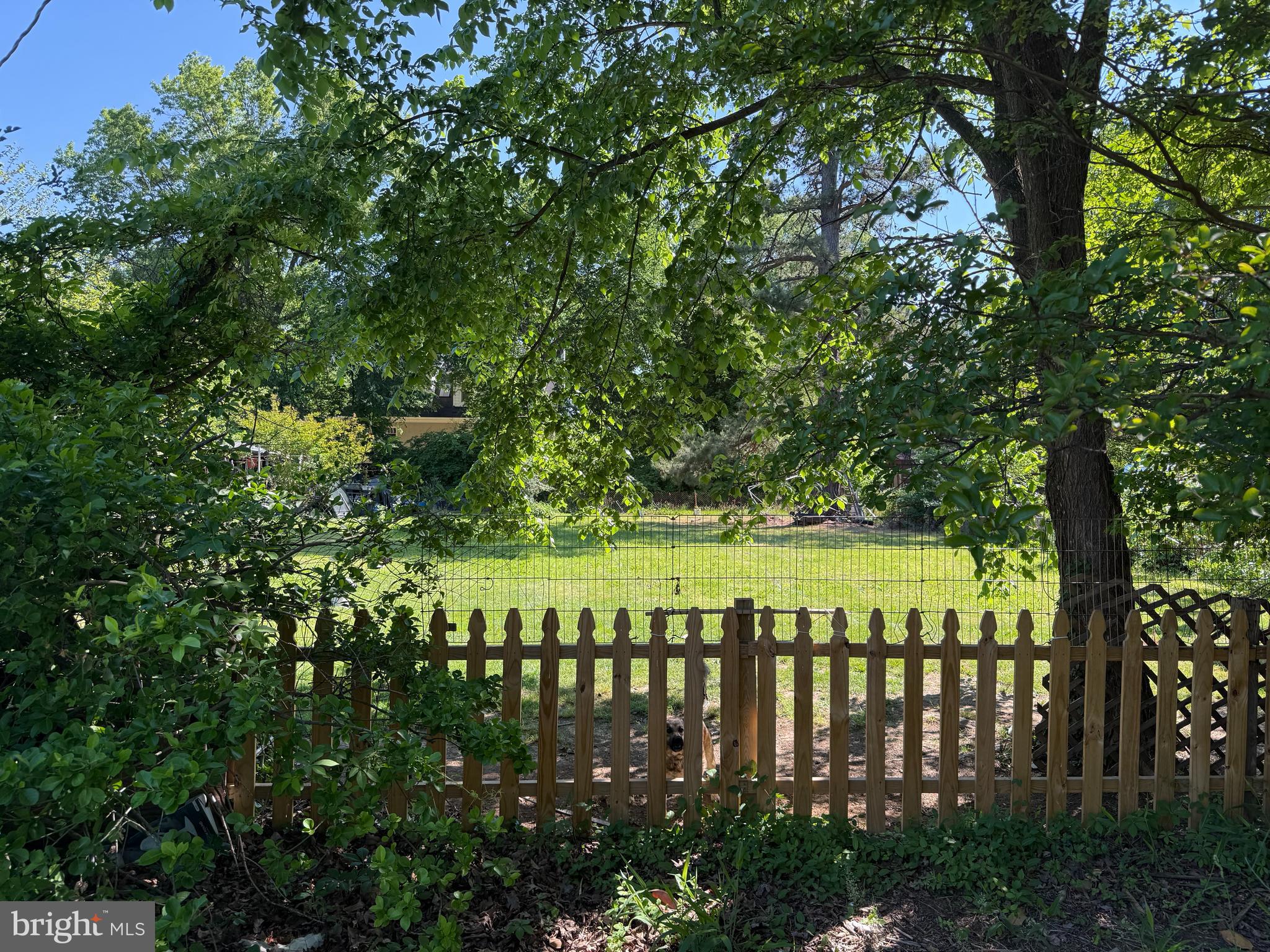 DOWDEN TERRACE - Land