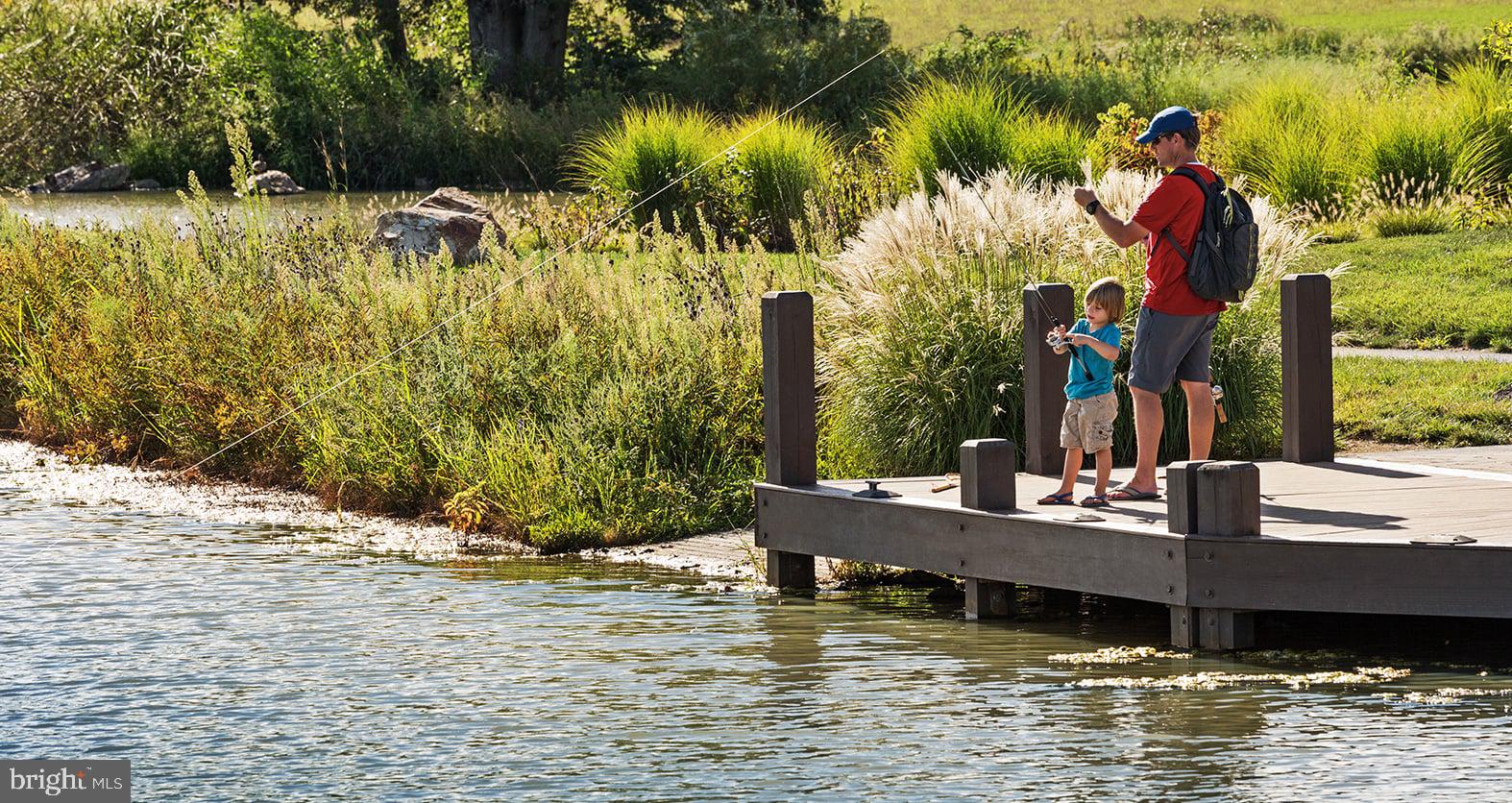 WILLOWSFORD - THE GREENS - Residential