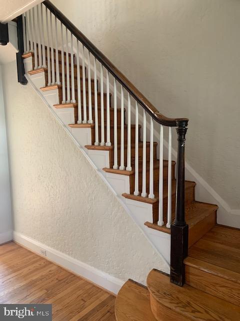 PEN LUCY - Residential