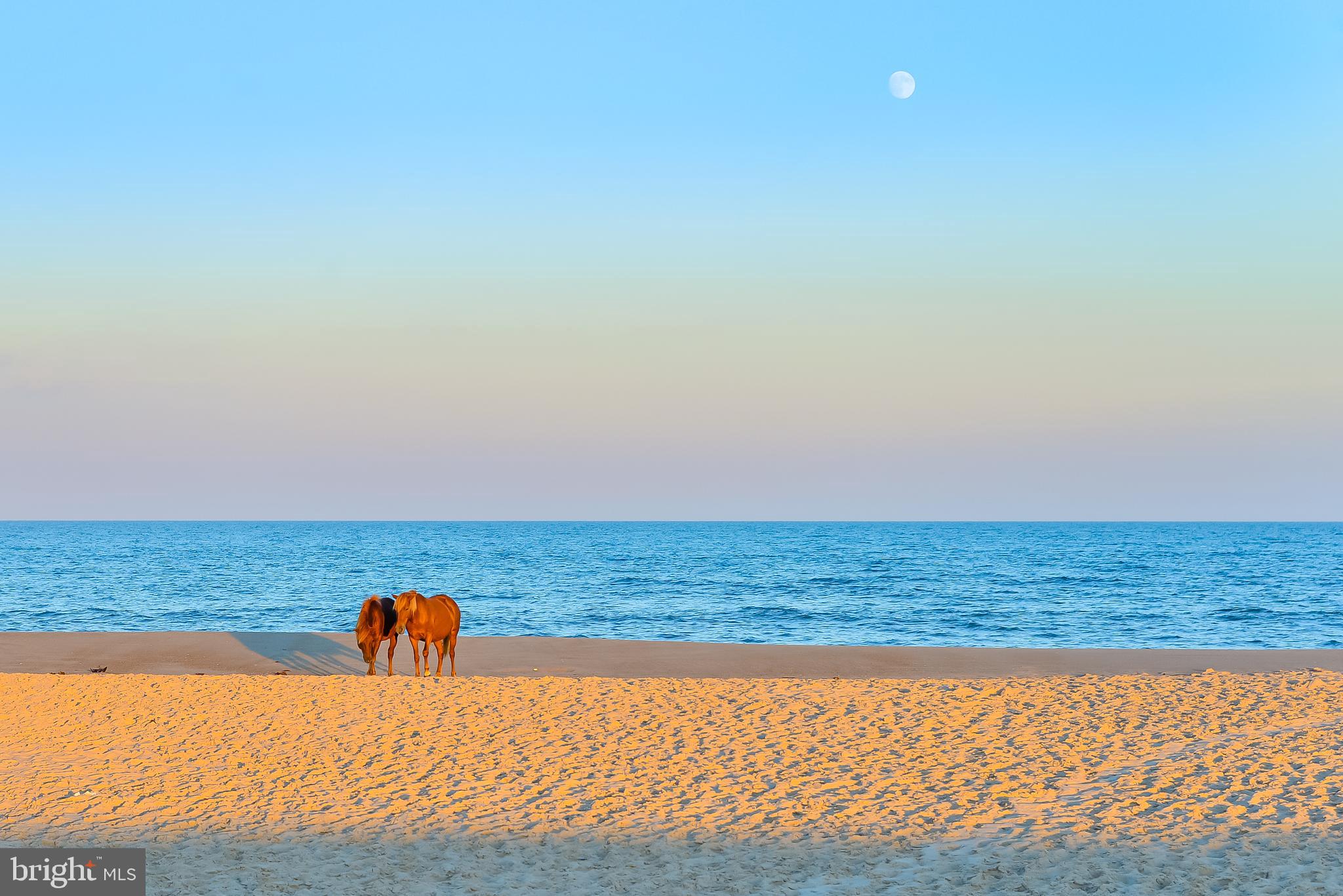 RUM POINTE - Residential