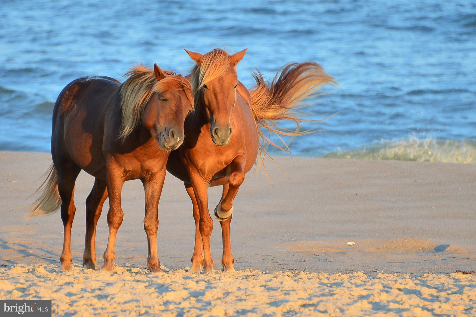 RUM POINTE - Residential