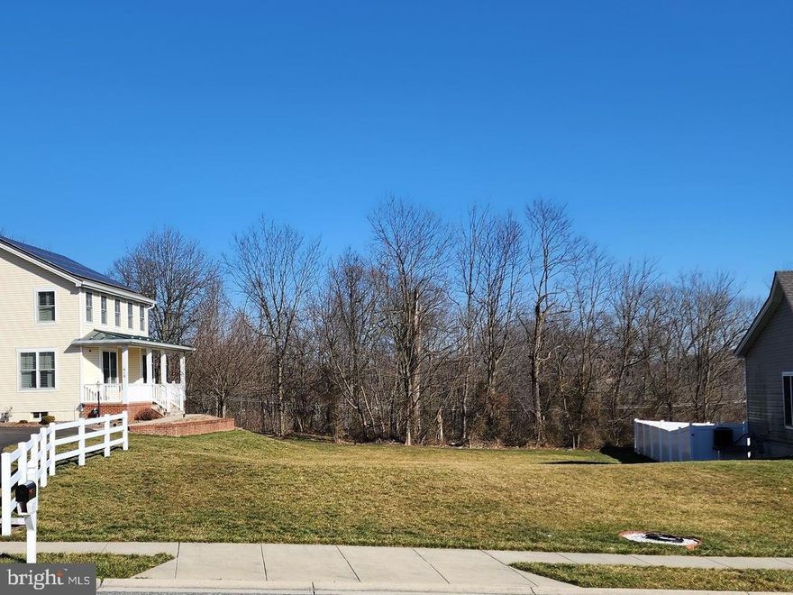 Hurry! Don't miss this RARE opportunity to build your dream home in the desired neighbor of The Orchard at New Market.  This is the last chance to purchase a building lot in the Orchard as it's the only remaining lot.  The driveway apron has been installed.  Bring the builder of your choice and make your dreams come true. The well establish community has so much to offer.  It's in a Great location;  you can walk to the beautiful Historical town of New Market, or to tot lots, shopping and dining!  Lot is a short 2 minute drive from major commuter routes.  Don't miss this one and only opportunity to build here.  Call today for a tour.