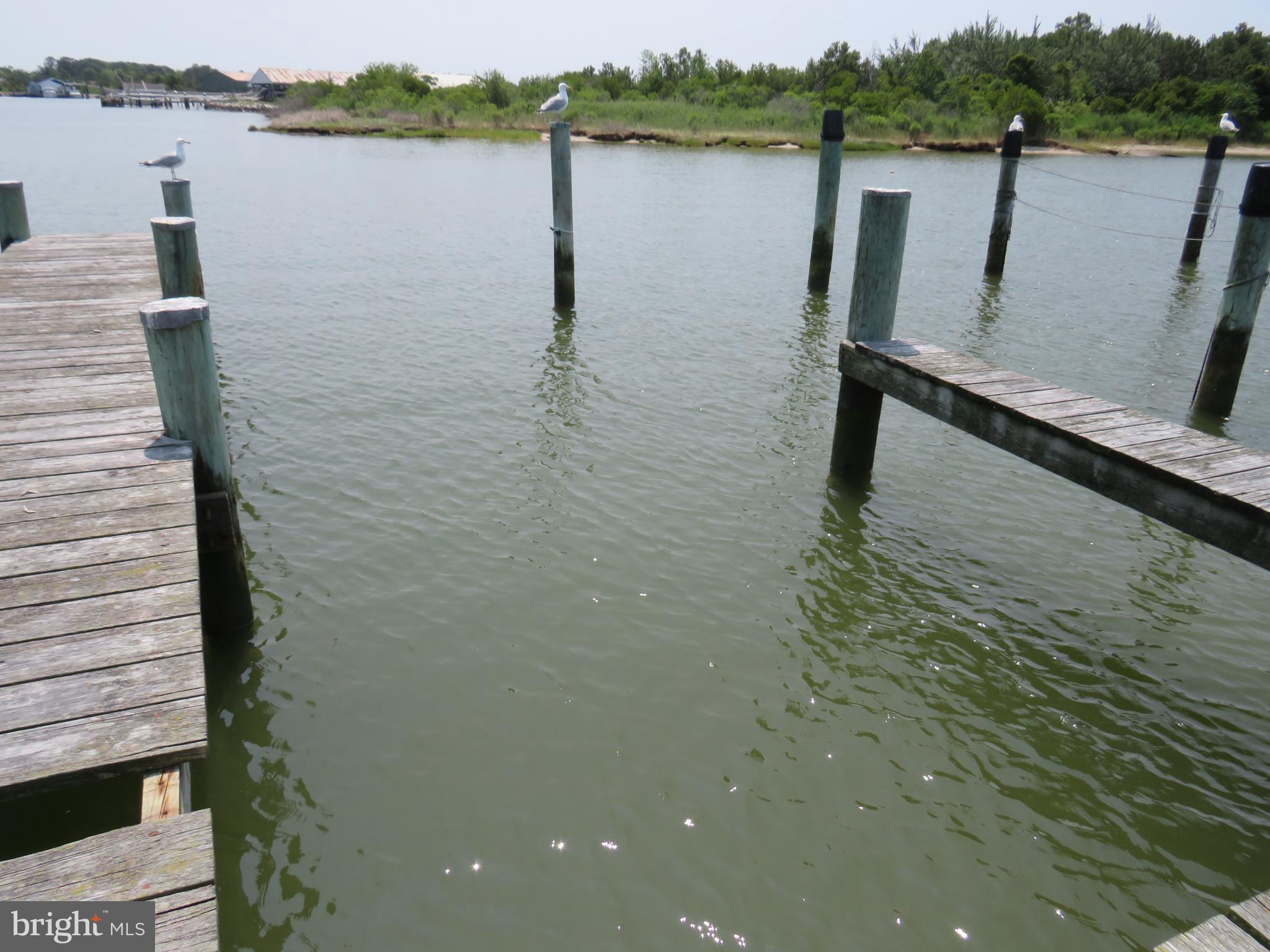 LANDON'S COVE - Residential