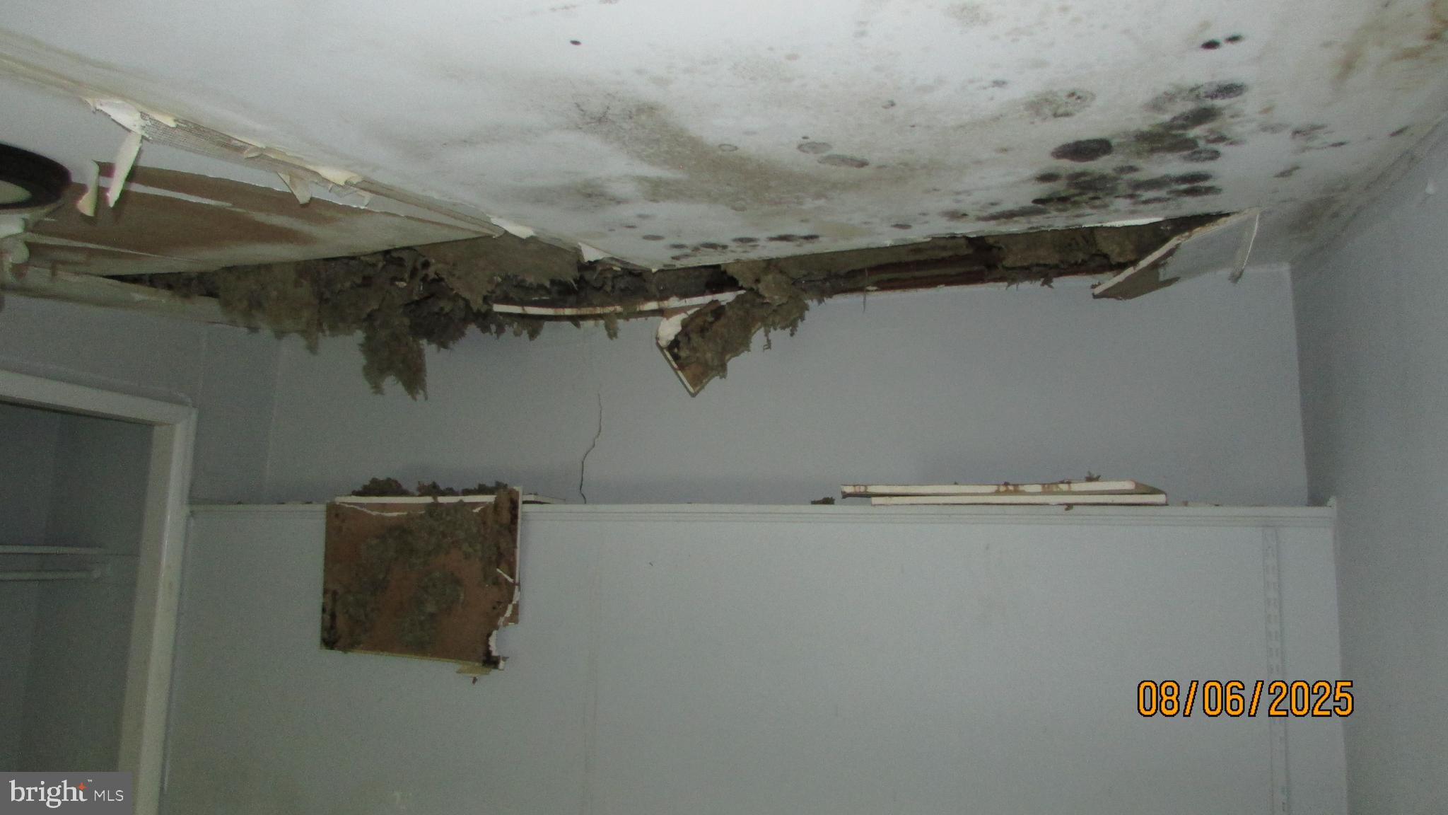 COLLEGE PARK - Residential