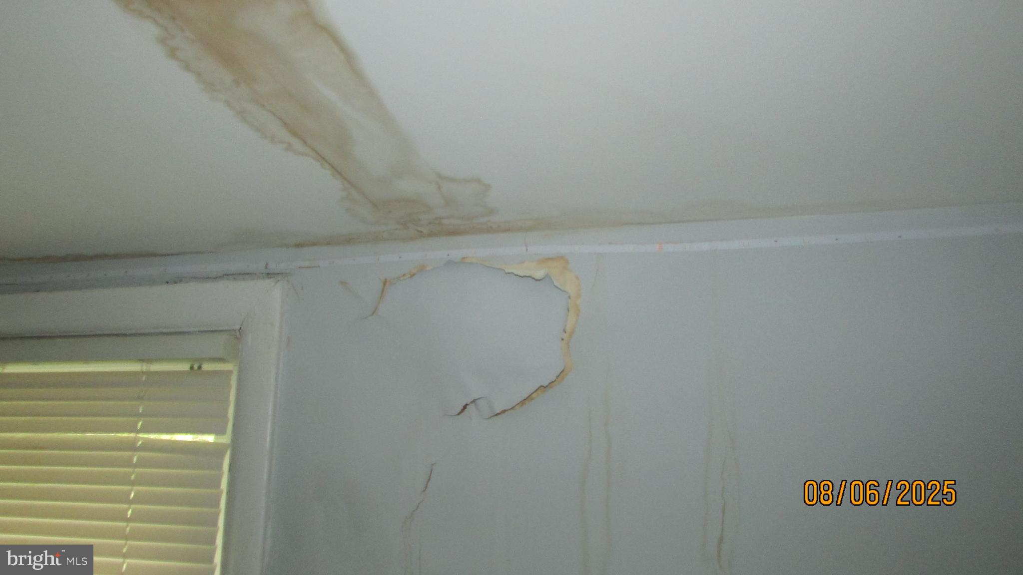 COLLEGE PARK - Residential