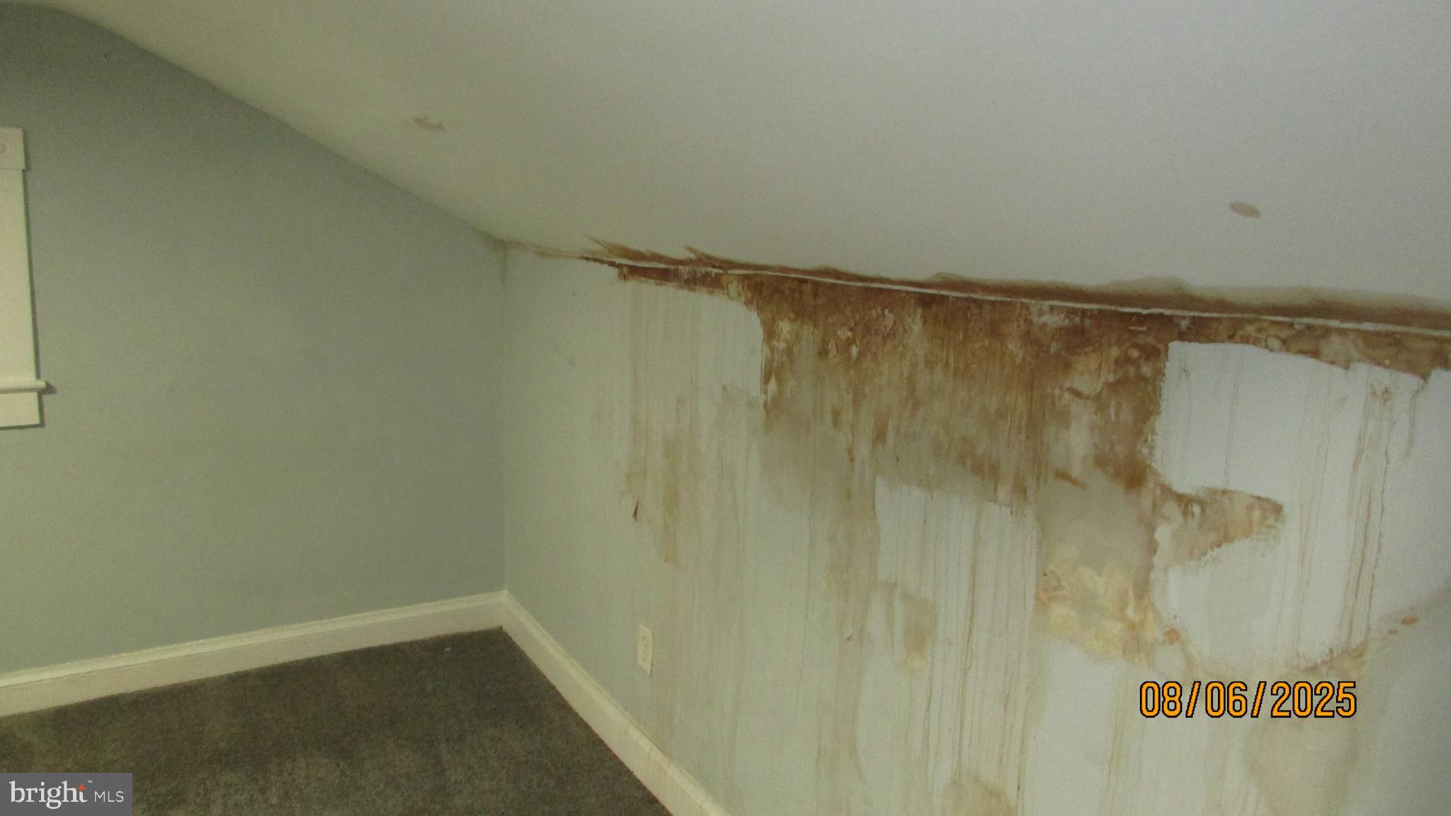 COLLEGE PARK - Residential