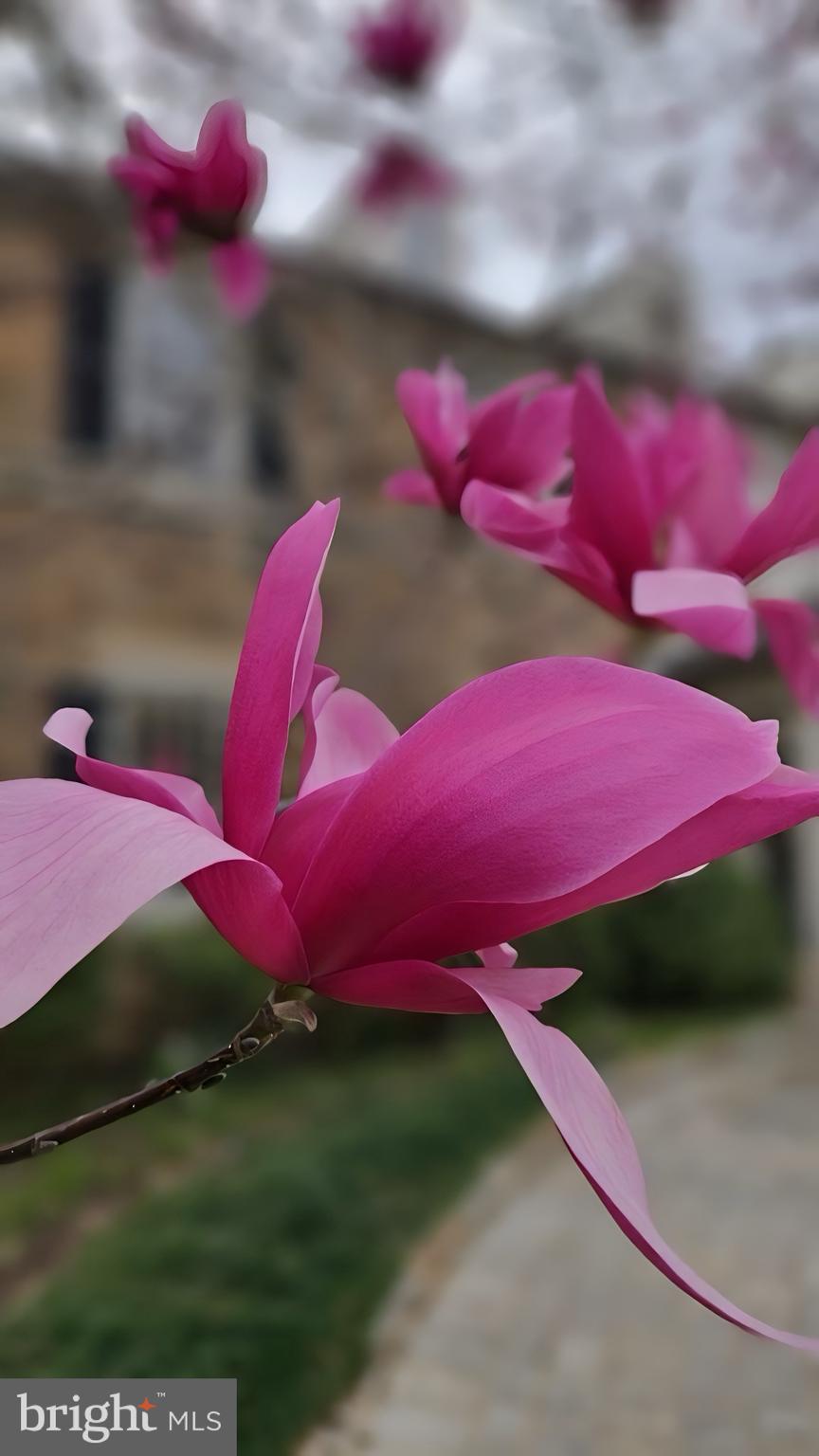 BALLANTRAE FARMS - Residential