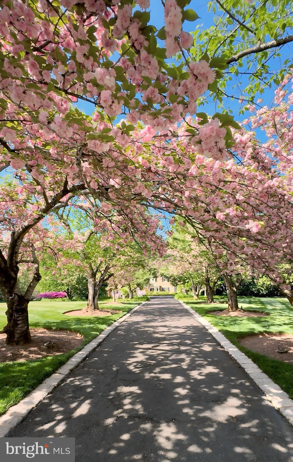 1288 BALLANTRAE FARM DRIVE