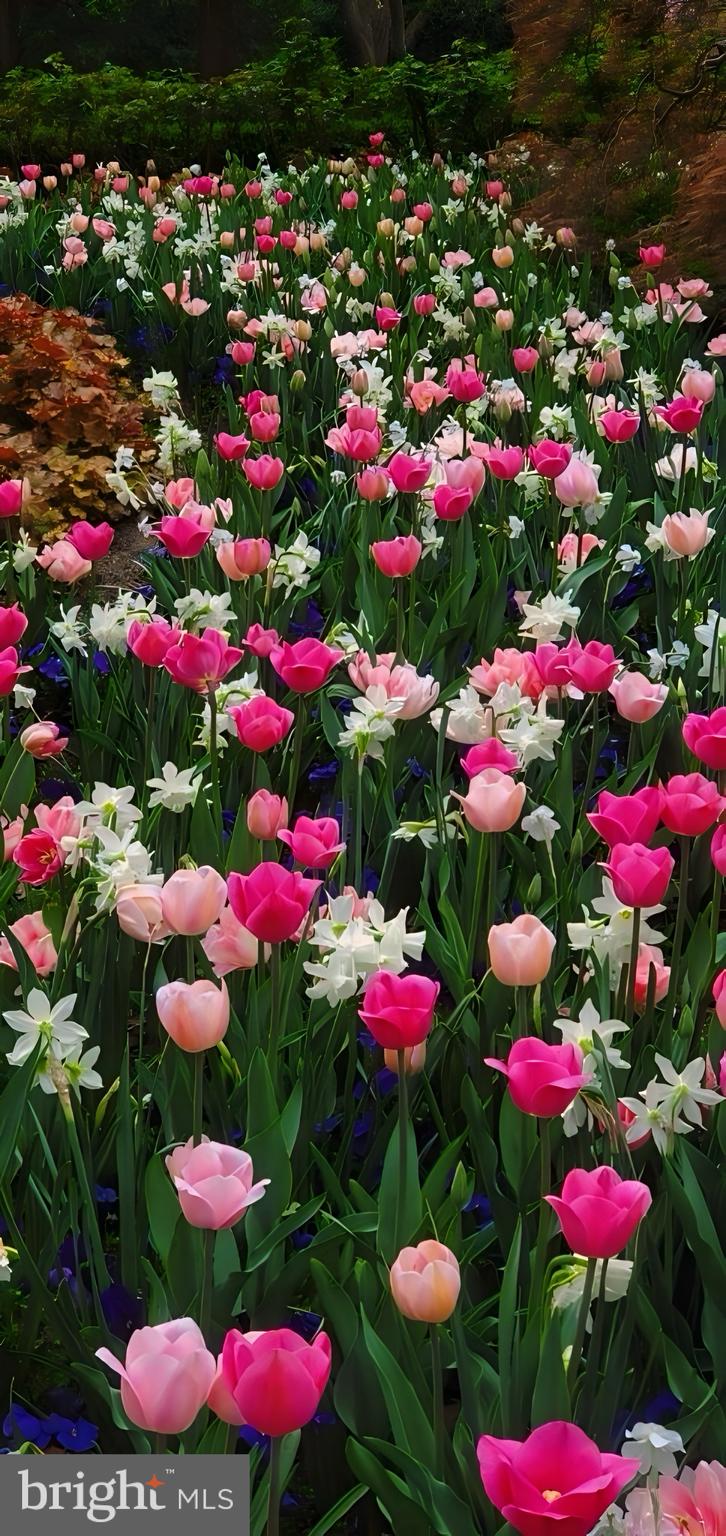 BALLANTRAE FARMS - Residential