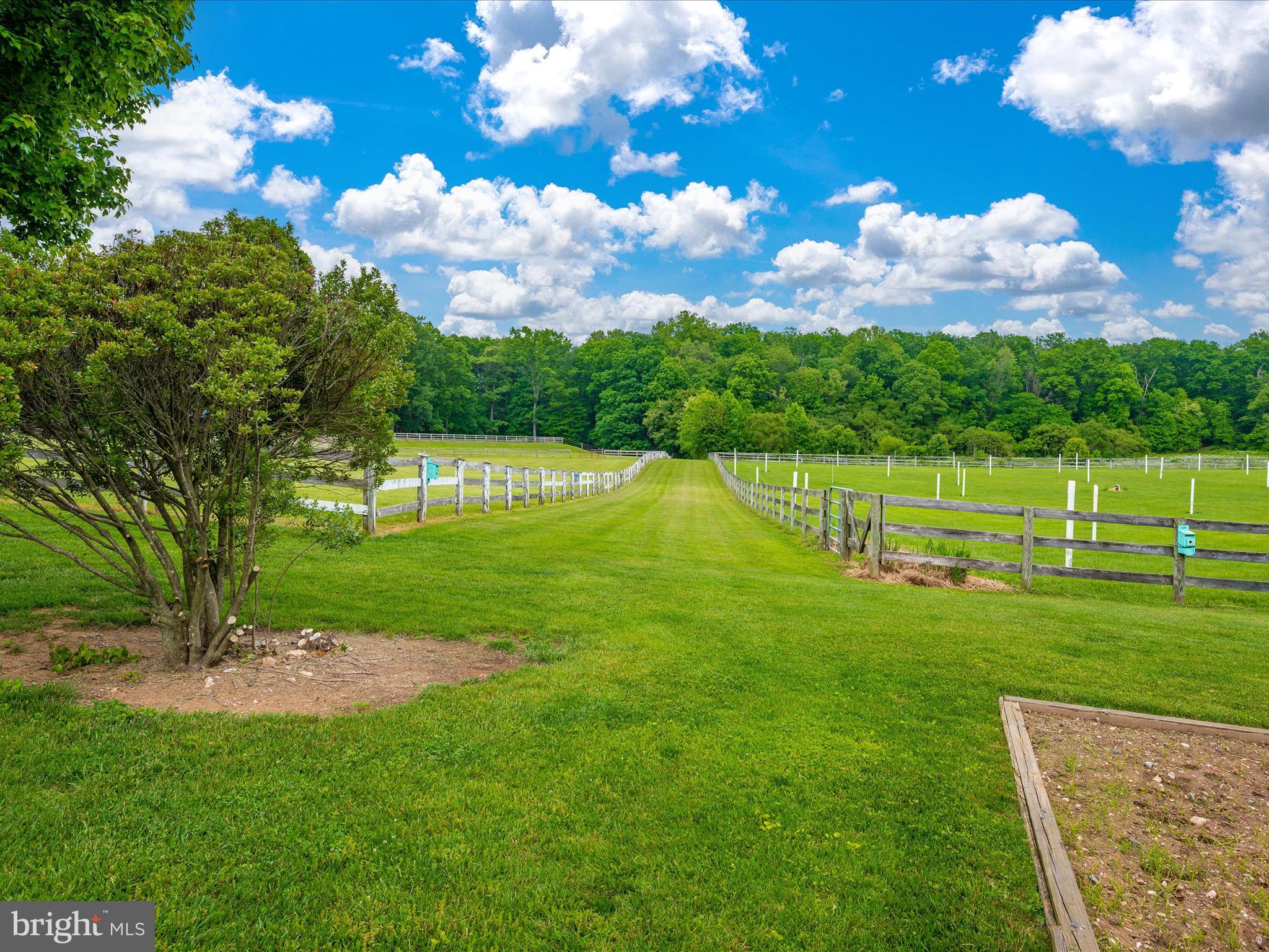 DICKERSON - Residential