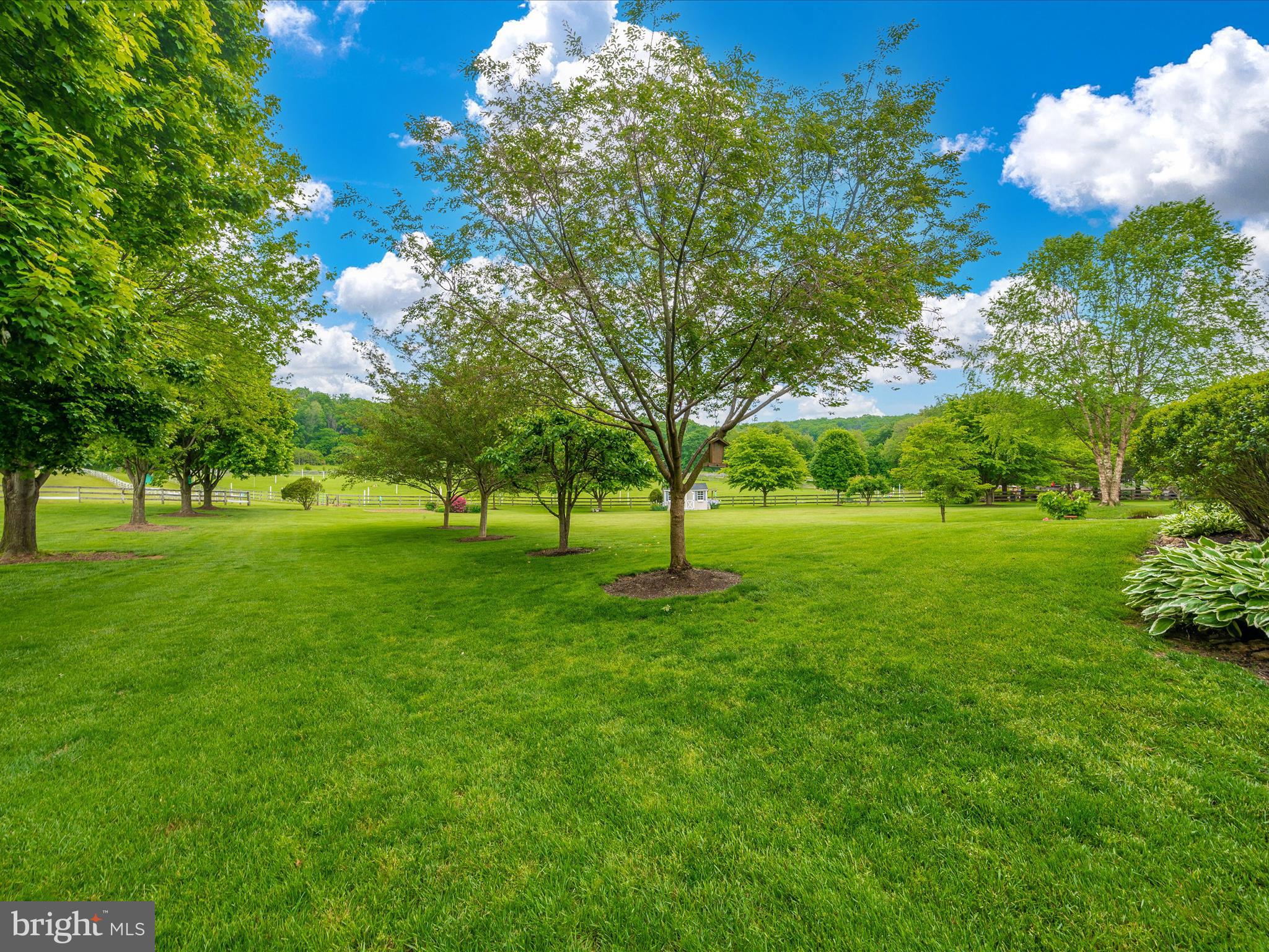 DICKERSON - Residential