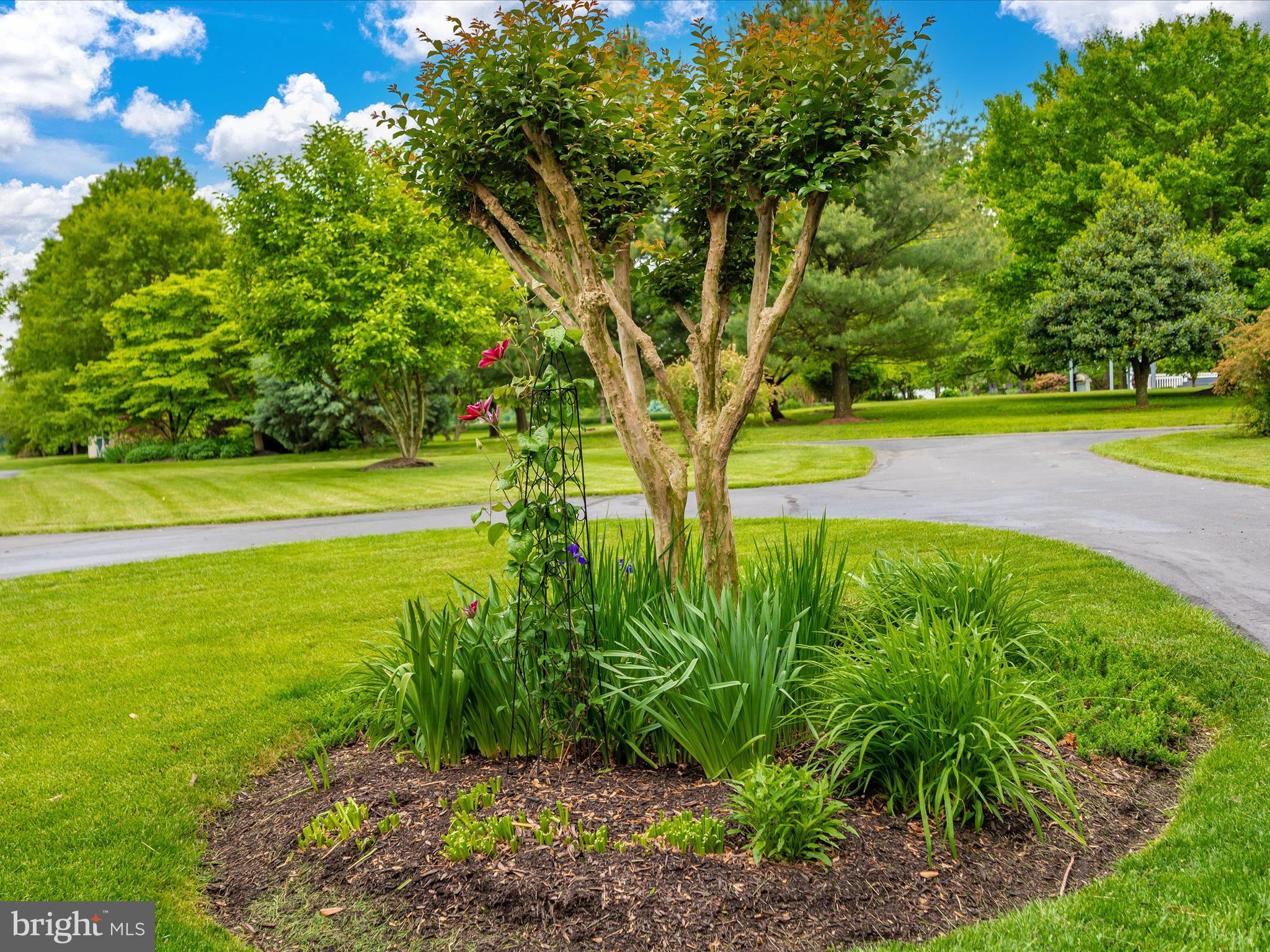 DICKERSON - Residential