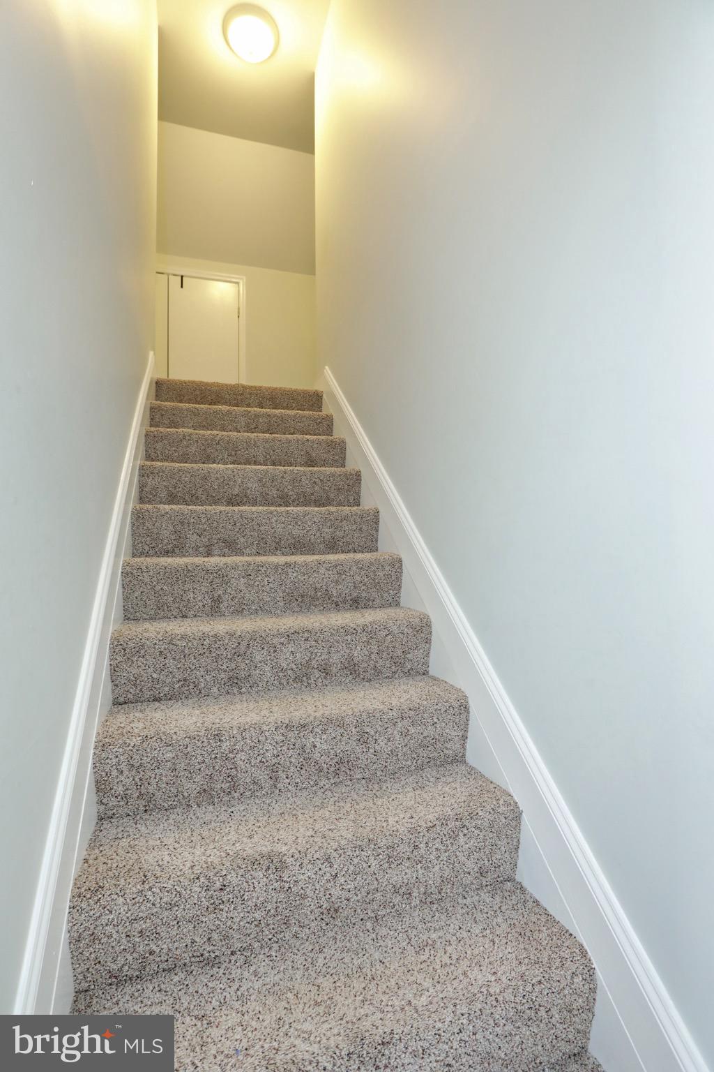 COBB ISLAND - Residential