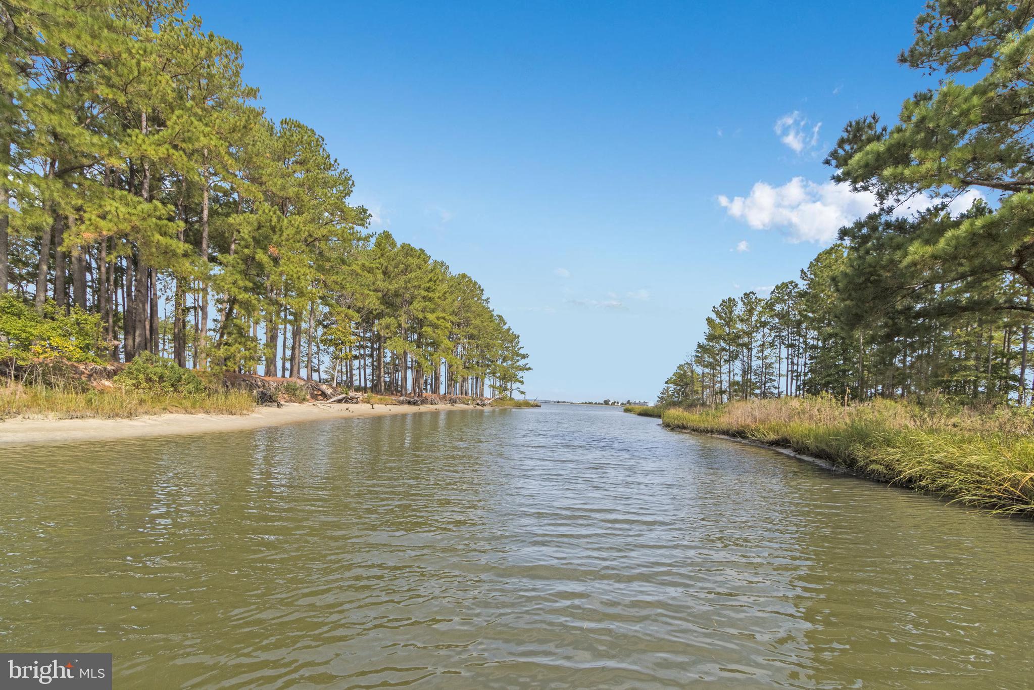 WHITE CREEK AT BETHANY - Residential