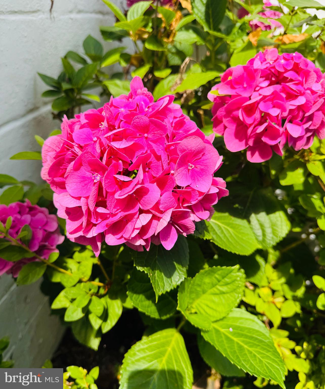 WOODLAWN - Residential