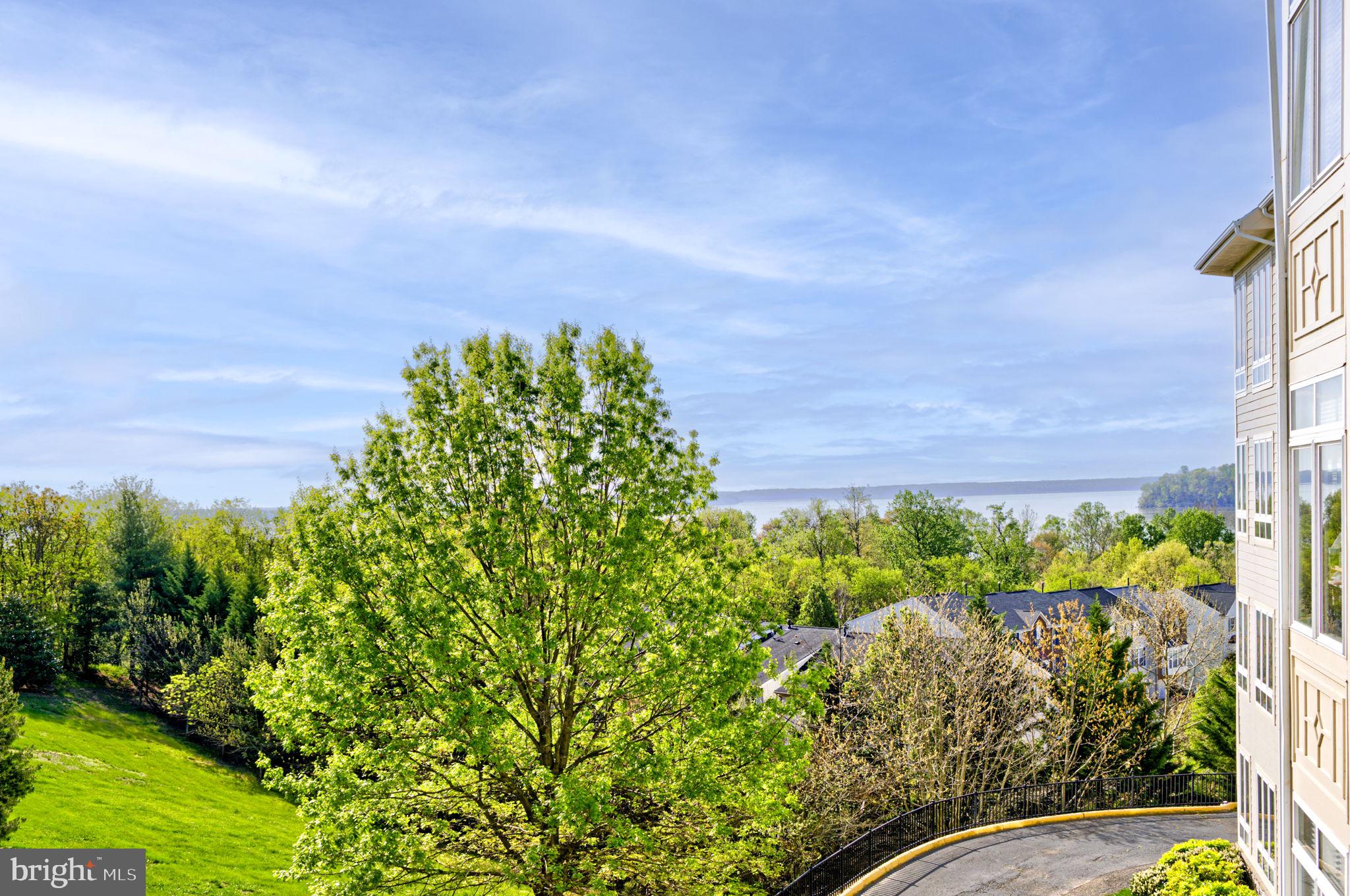 POTOMAC POINTE CONDOMINI - Residential