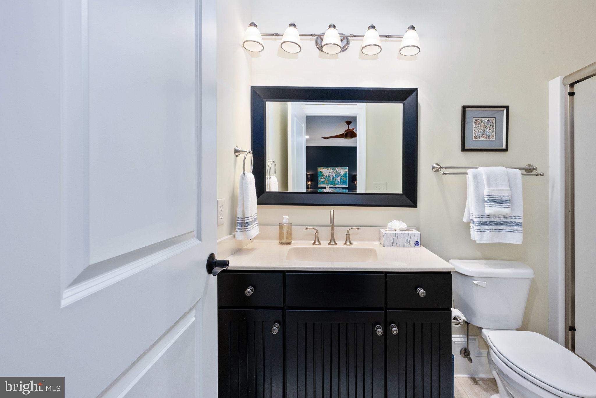 DOWNTOWN FREDERICKSBURG - Residential